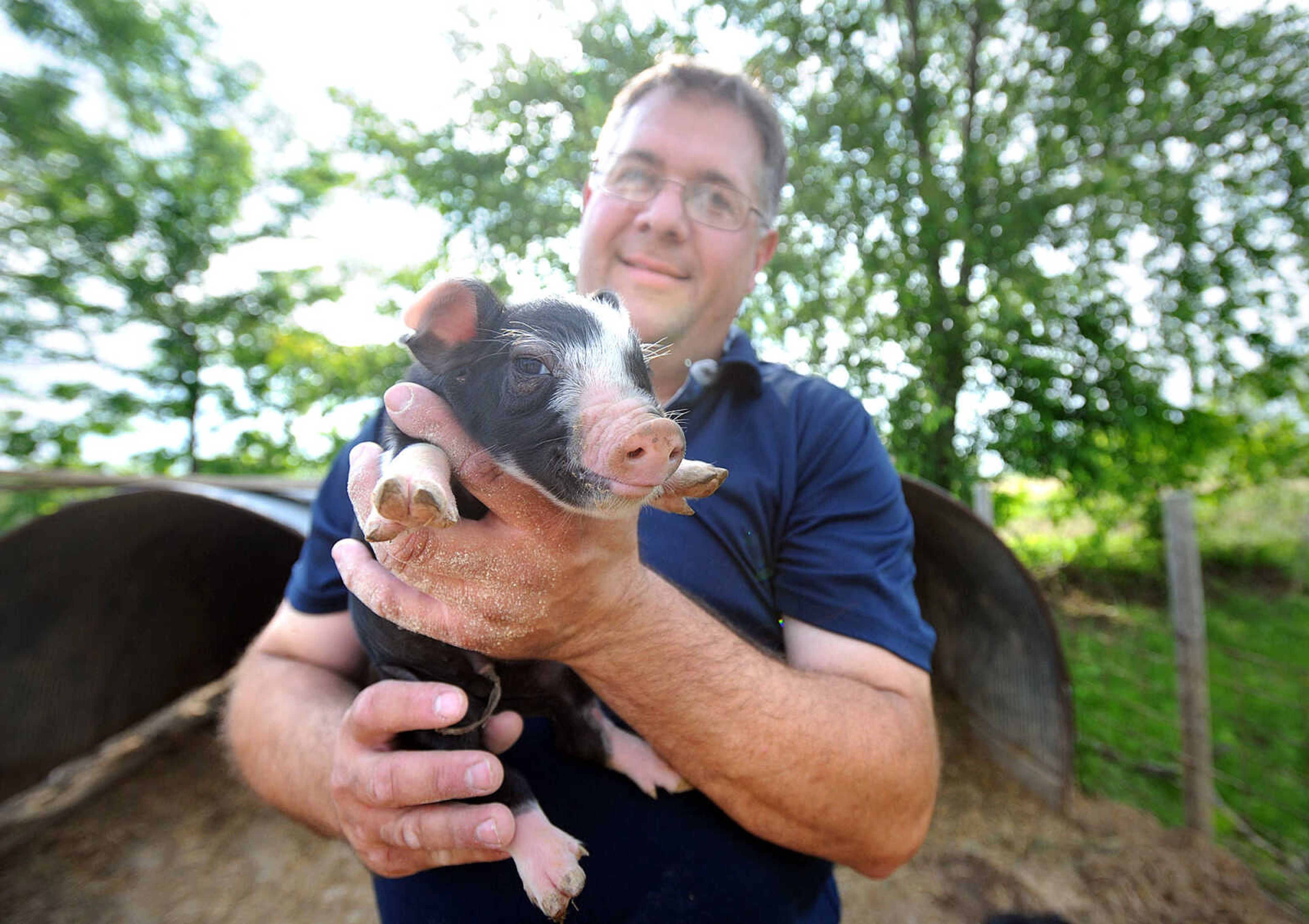 LAURA SIMON ~ lsimon@semissourian.com

Brian Strickland holds a one-day-old piglet, Monday afternoon, May 19, 2014, at his Oak Ridge pig farm he runs with his business partner Luke Aufdenberg.