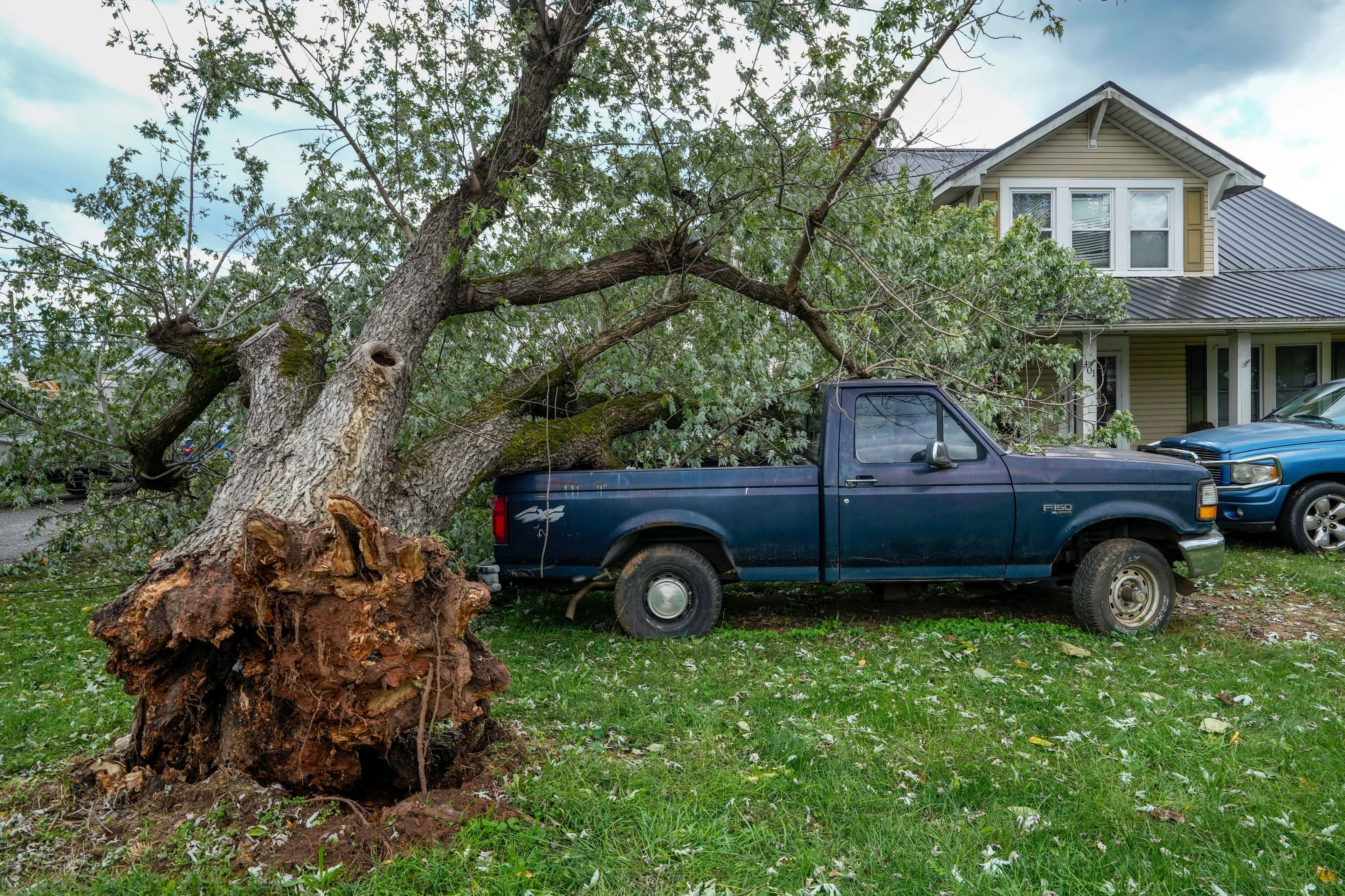 An uprooted tree landed on a pickup truck in front of a home on East Main Street after Hurricane Helene, Saturday, Sept. 28, 2024, in Glen Alpine, N.C. (AP Photo/Kathy Kmonicek)