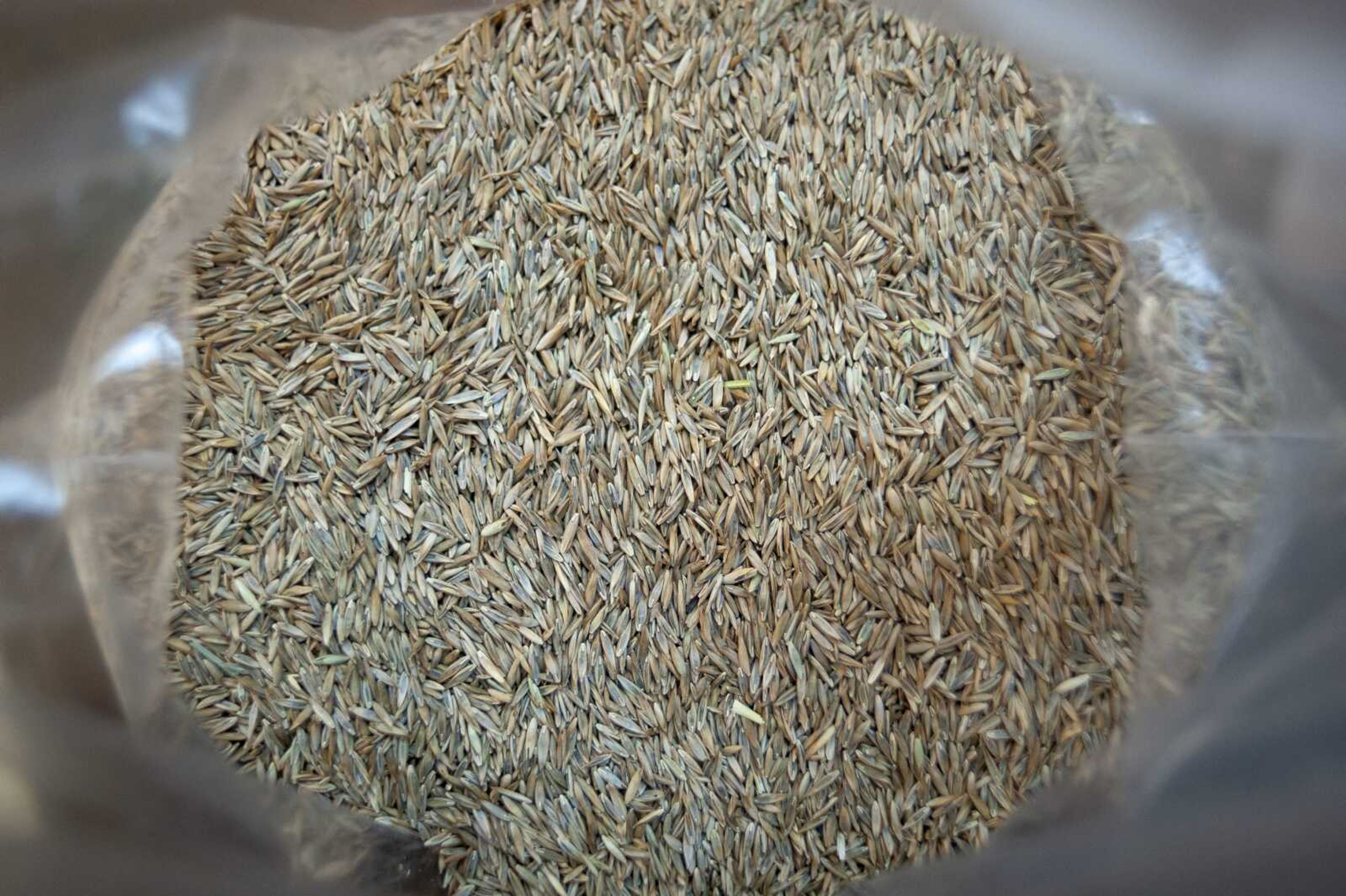 ABOVE: Grass seed is displayed Thursday at Sunny Hill Gardens & Florist in Cape Girardeau.  LEFT: Fertilizer is displayed.