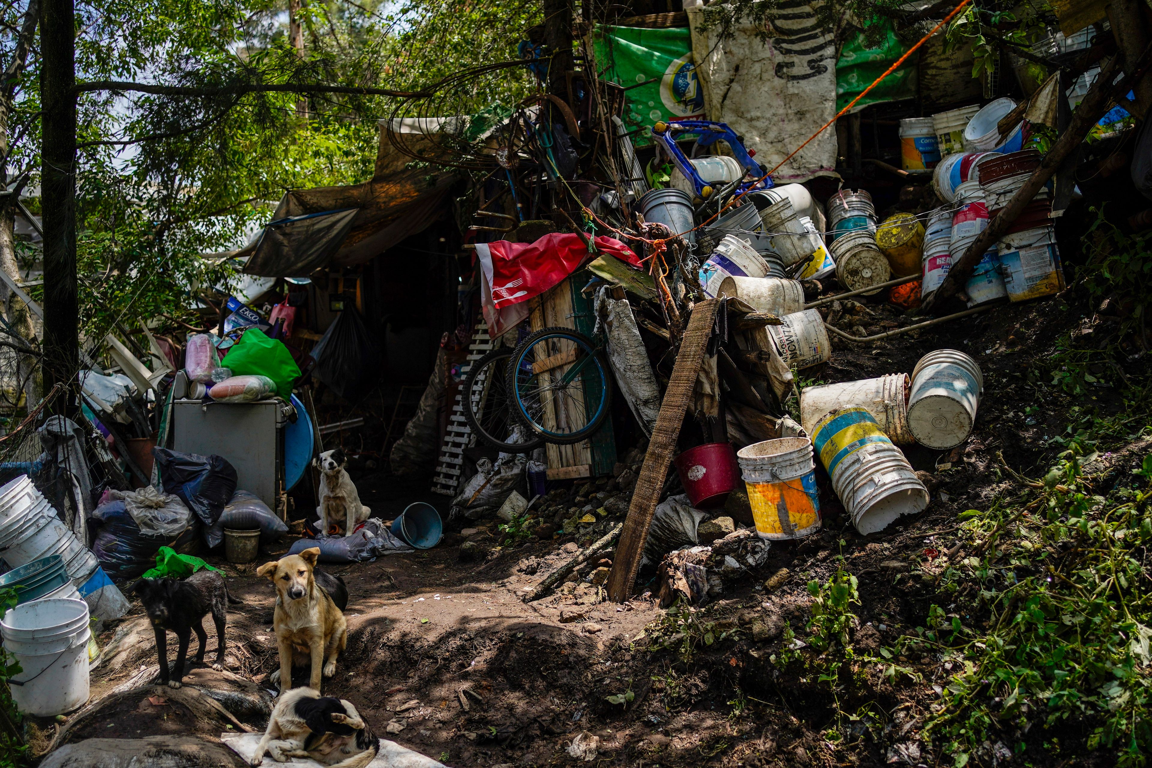 Dogs sit next to a damaged house where various people died after a rain-induced landslide, in Naucalpan, Mexico, Tuesday, Sept. 17, 2024. (AP Photo/Felix Marquez)