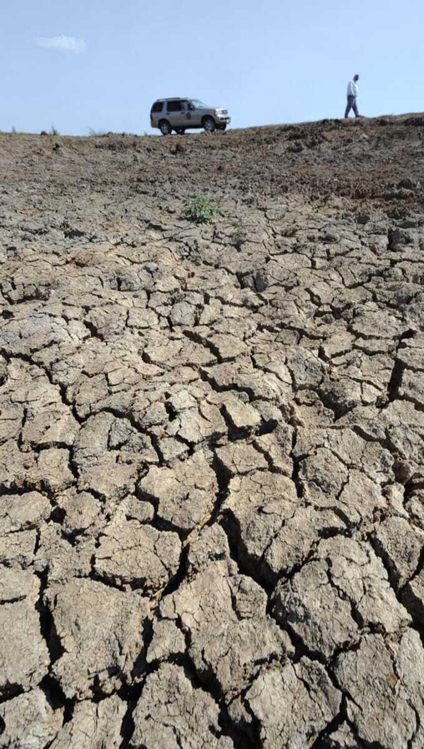 Steve Densmore, cattle manager at Circle X Angus Ranch in Brazos and Robertson counties, Texas, walks Wednesday along the rim of a bone-dry stock tank, one of many on the sprawling 13,000-acre cow-calf operation in southeast-central Texas. (Dave McDermand ~ Bryan-College Station Eagle)