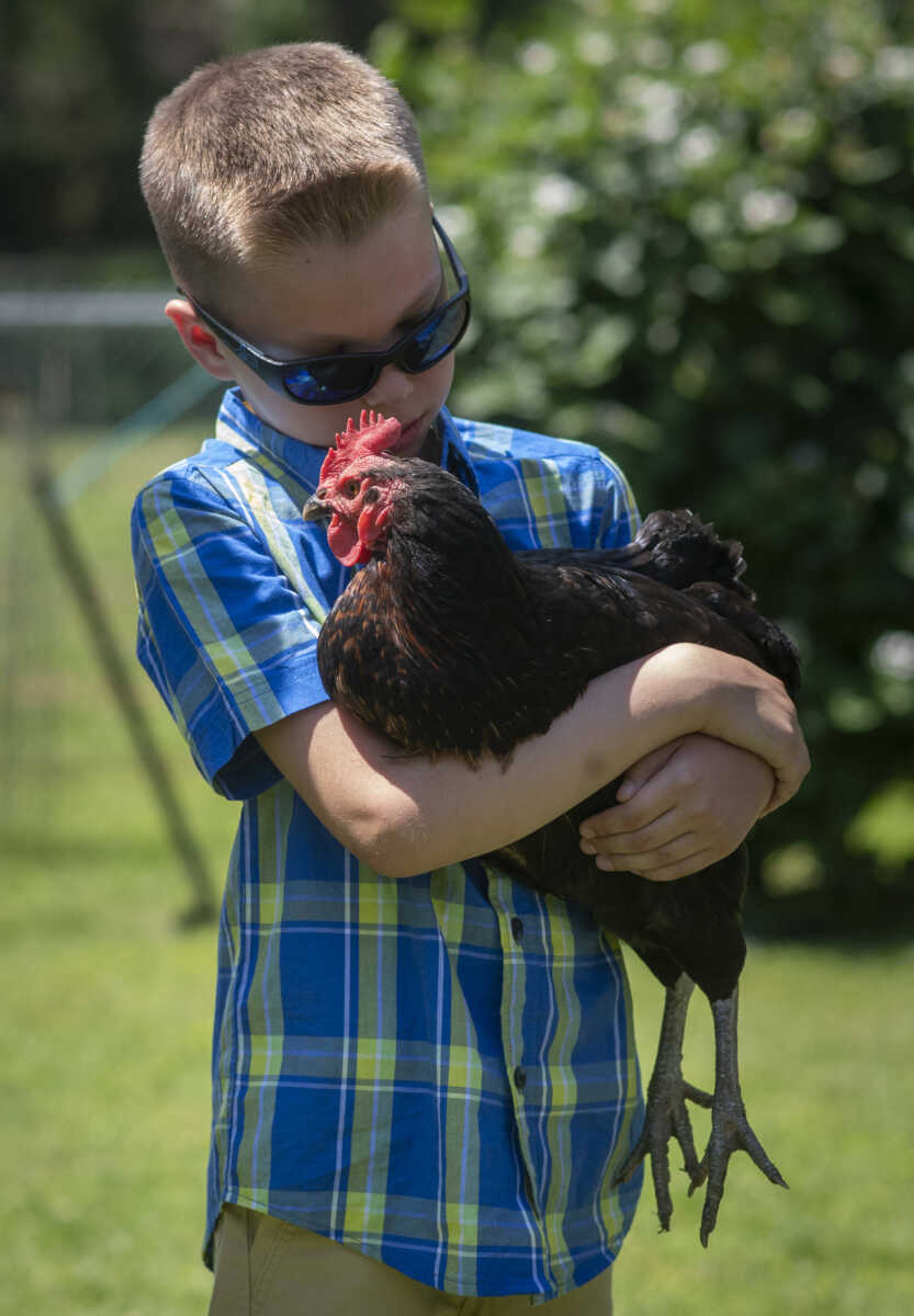 Colin Schroeder, 7, of Cape Girardeau, holds his Black Sex Link chicken, Smokey, while his family meets with the Southeast Missourian on Wednesday, June 3, 2020, at the family home in Cape Girardeau.