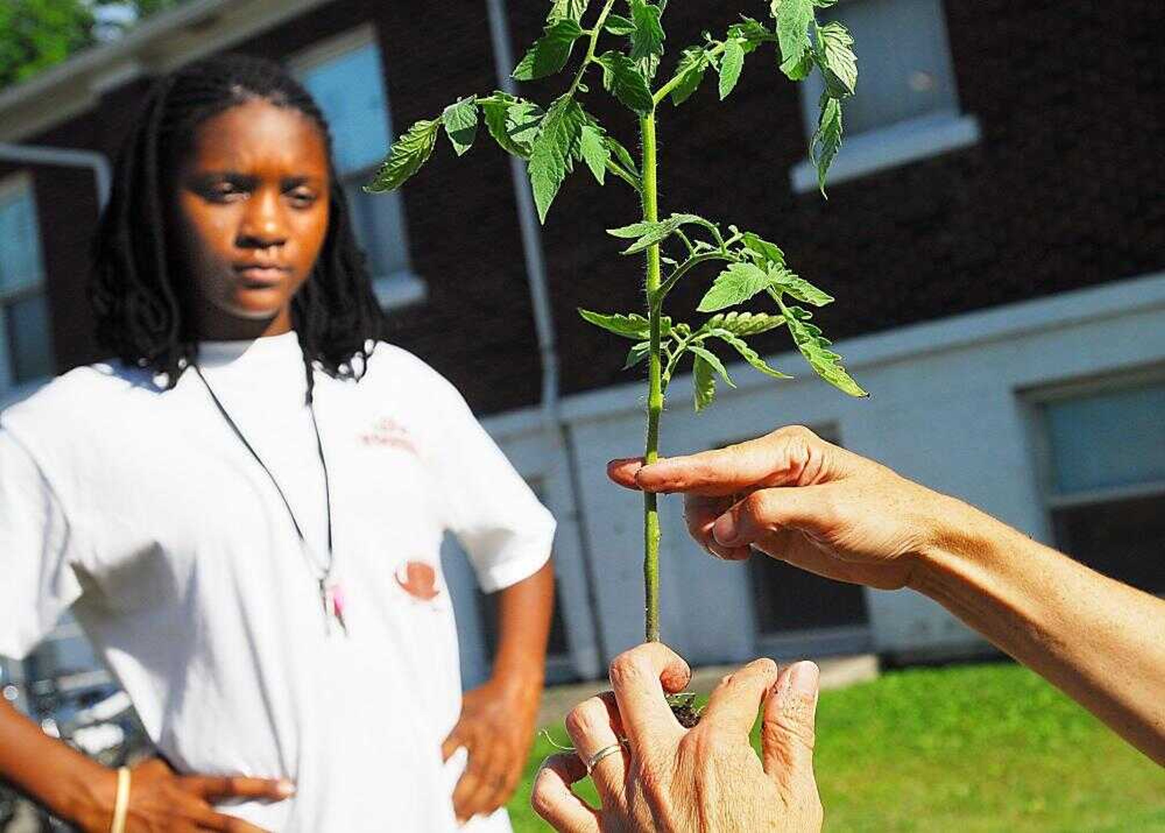 Mary Maginel showed Khadijah Miller, 11, how deep to bury the tomato plants Tuesday outside the Family Resource Center in Cape Girardeau. One of the purposes of the project is to teach the youths involved the benefits of buying locally. (Aaron Eisenhauer)