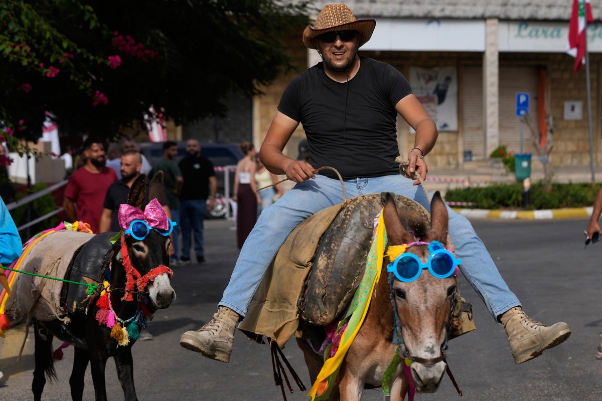 Donkeys don bows and sunglasses for a summer race in souther...