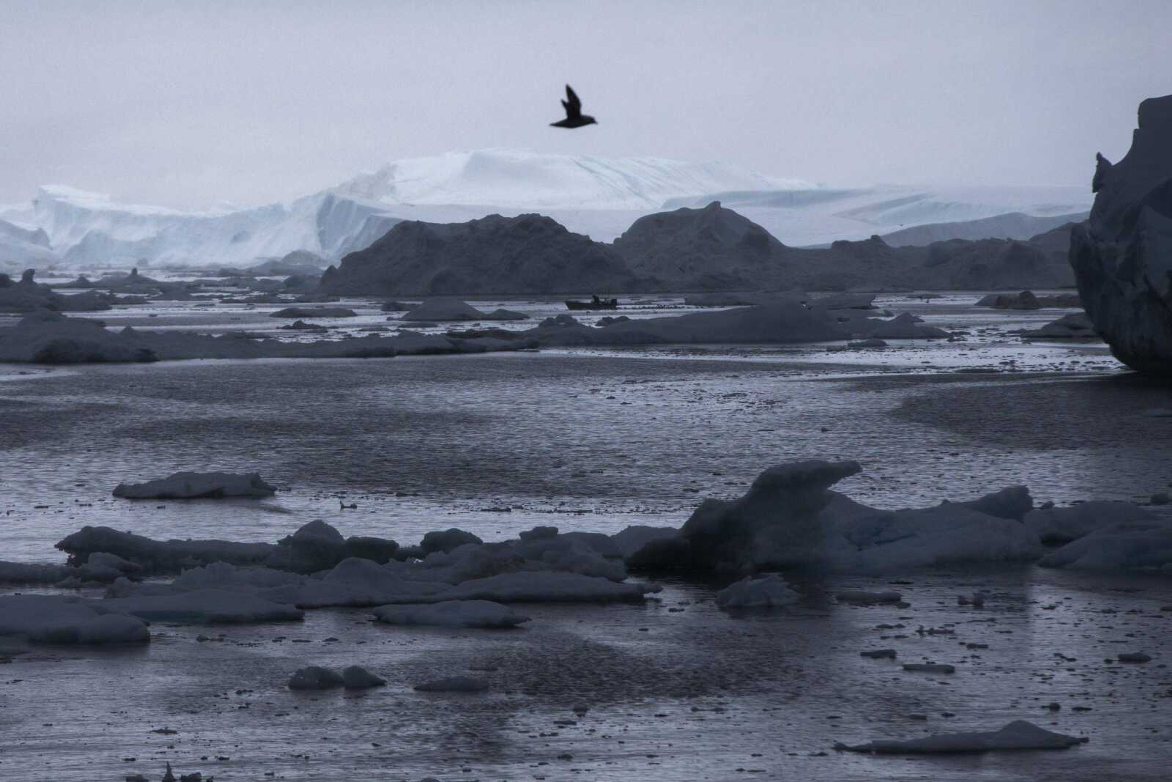 A fisherman drives a boat June 17 during Secretary of State John Kerry's tour of the Jakobshavn Glacier and the Ilulissat Icefjord, located near the Arctic Circle in Ilulissat, Greenland. In its annual Arctic Report Card, the National Oceanic and Atmospheric Administration on Tuesday tallied record after record of high temperatures, low sea ice, shrinking ice sheets and glaciers.