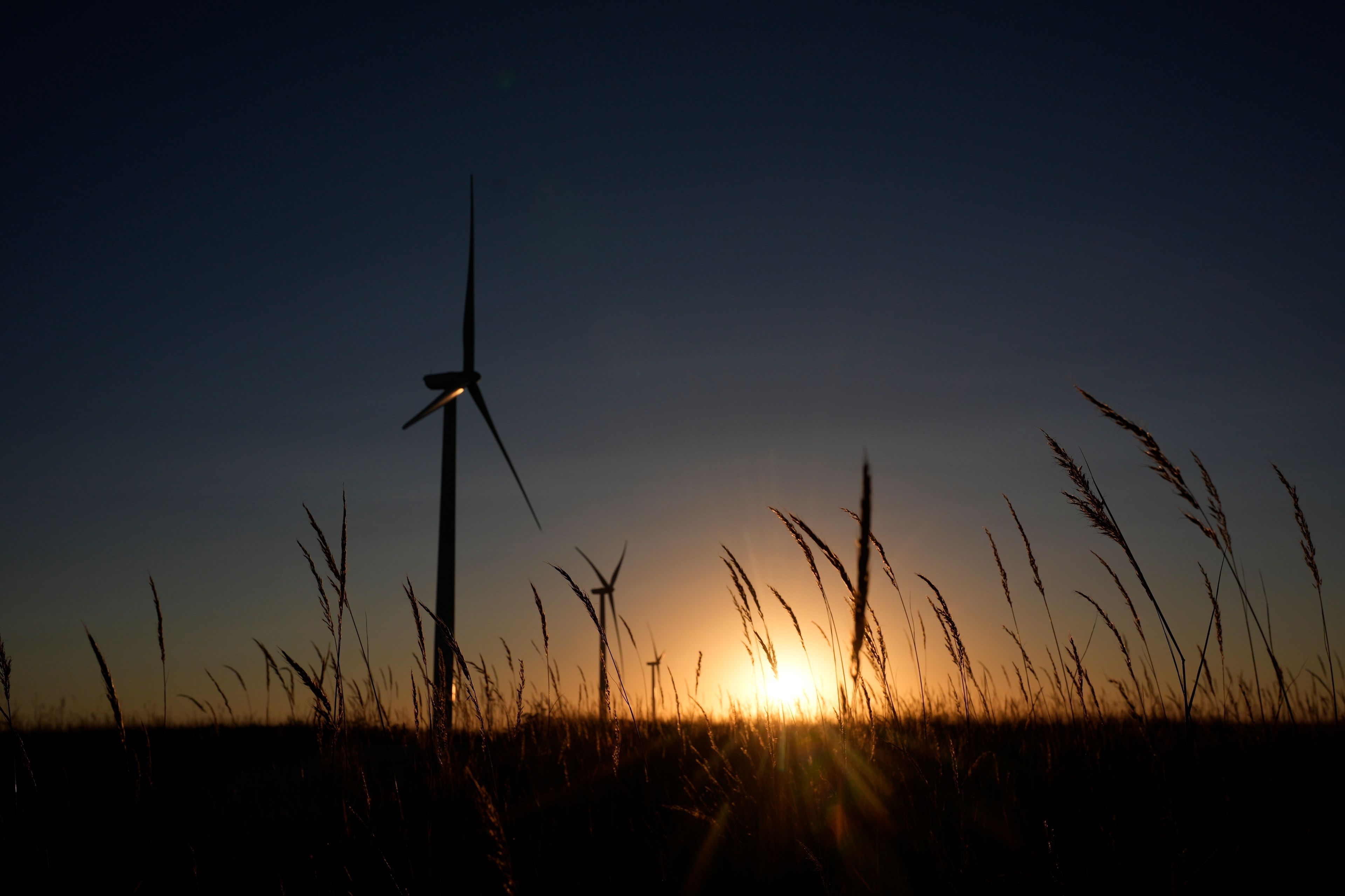 A wind turbine at the Buckeye Wind Energy towers above prairie grasses at sunrise, Monday, Sept. 30, 2024, near Hays, Kan. (AP Photo/Charlie Riedel)