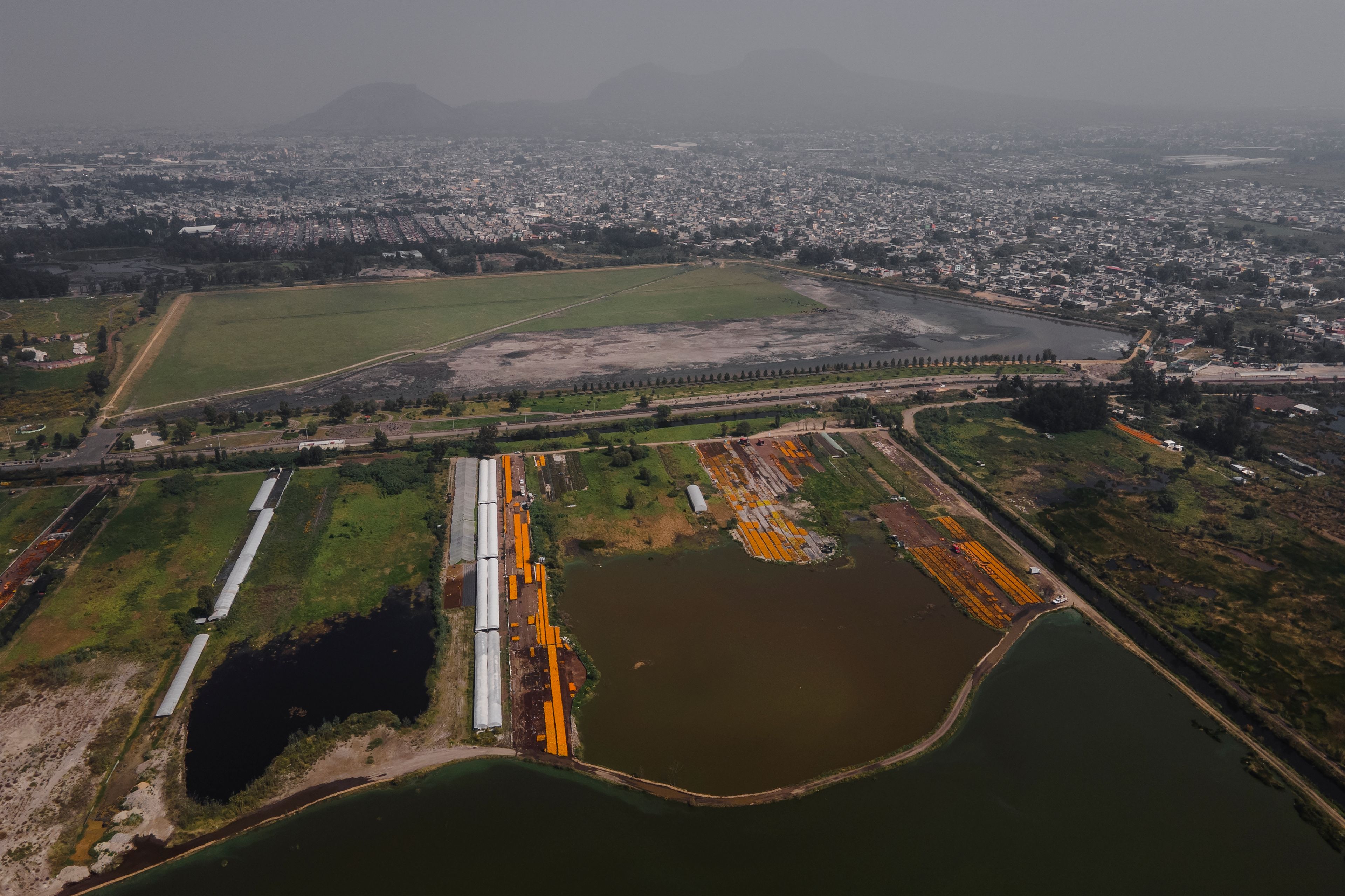 Floating gardens with Mexican marigold flowers known as cempasuchil grow in the Xochimilco borough of Mexico City, Tuesday, Oct. 29, 2024. (AP Photo/Felix Marquez)