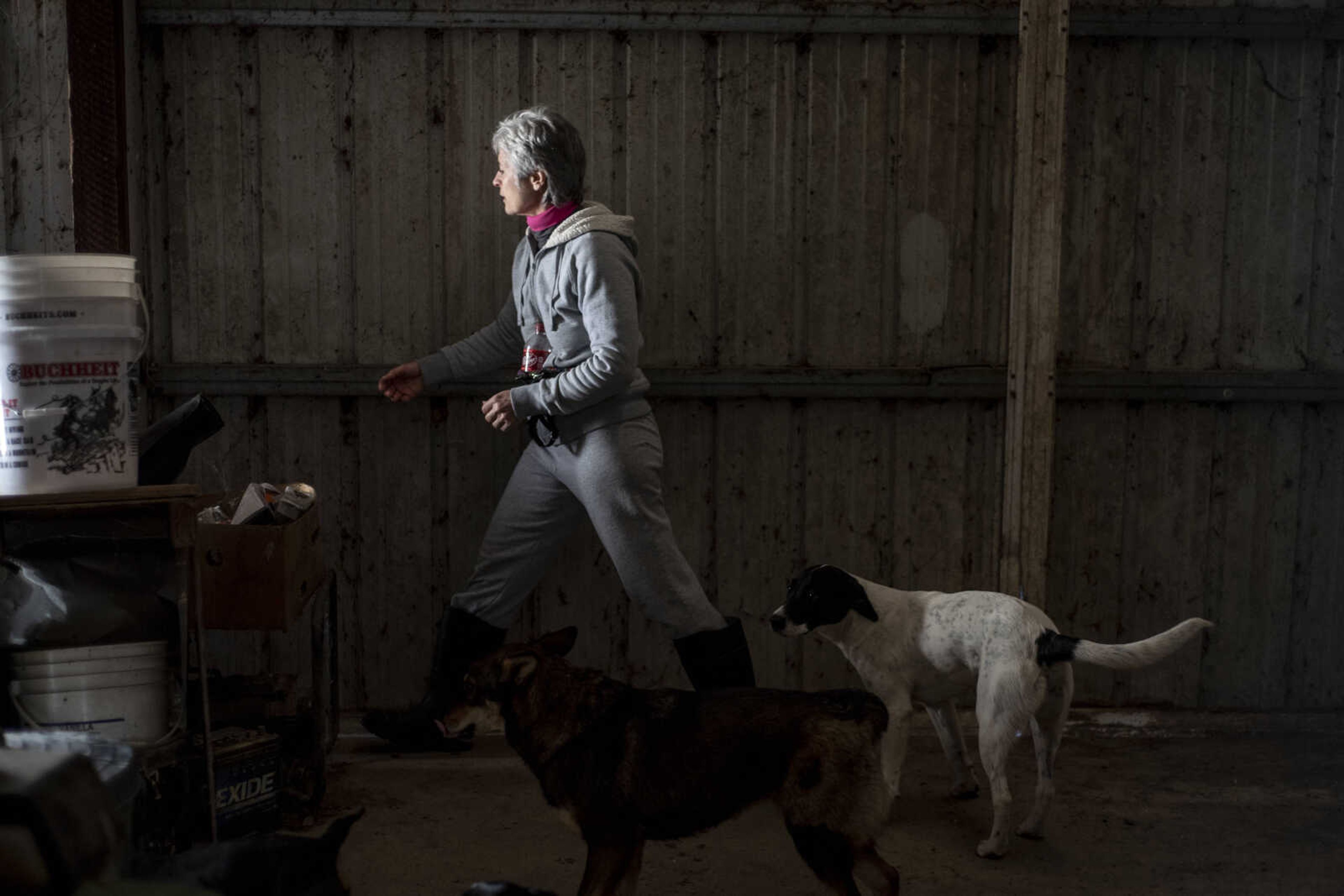 Marilyn Neville is followed by some of her rescues as she goes to open up the barn door Wednesday, Jan. 9, 2019, at the Bollinger County Stray Project in Zalma.