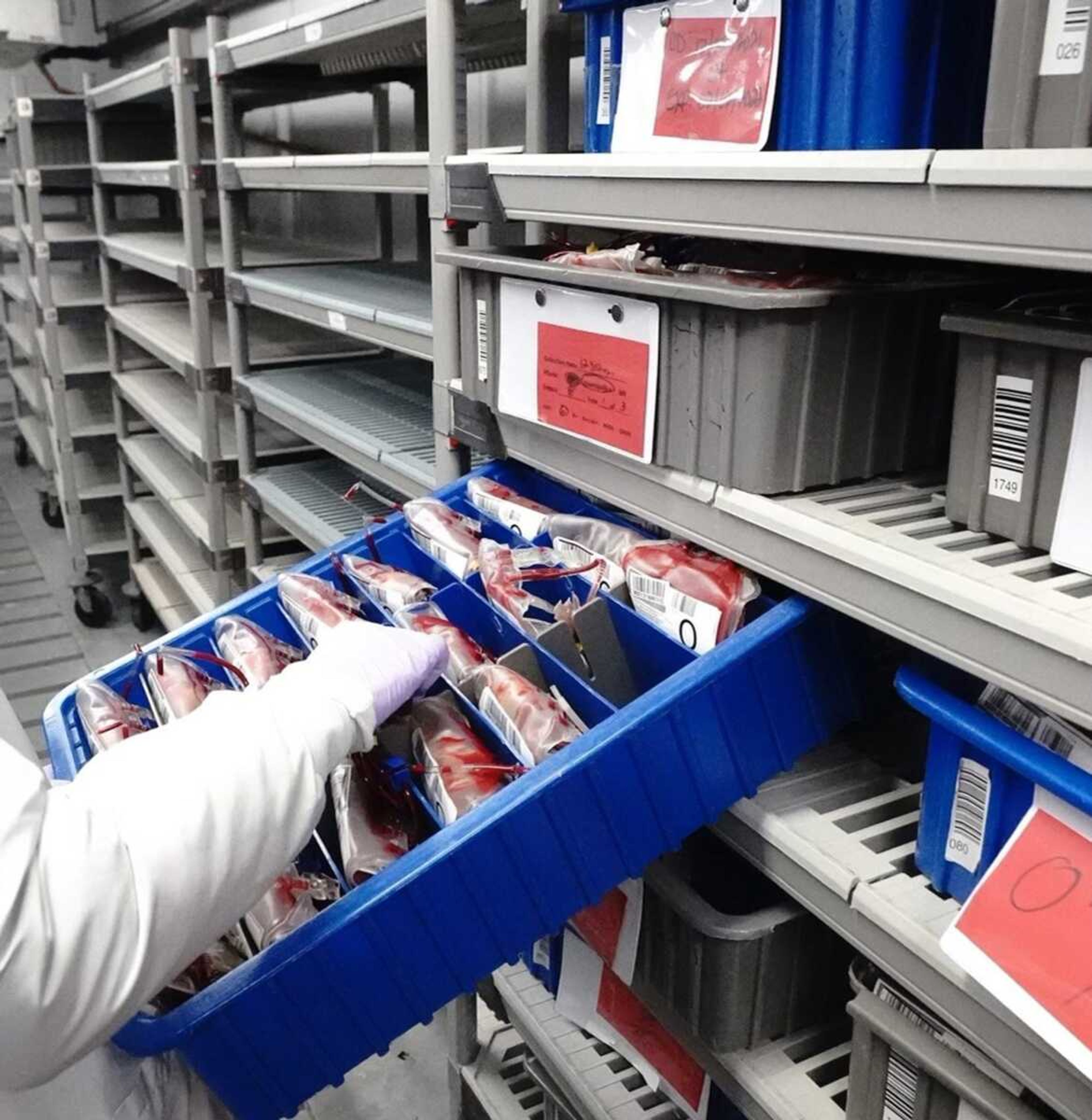 An American Red Cross employee stocks the shelves of the processing shelves with various blood type donations during a period where the organization was not in short supply of blood.