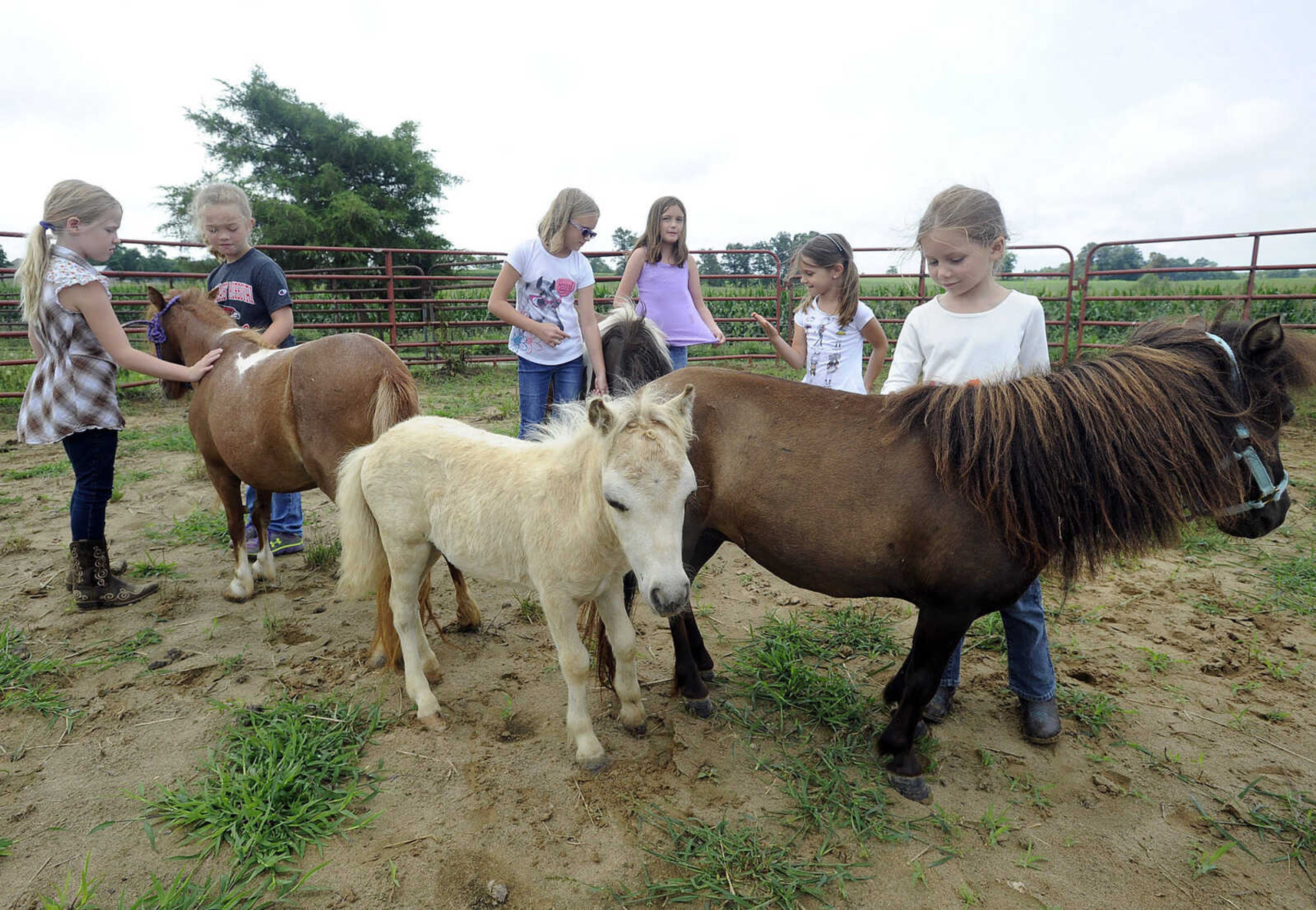 The campers are introduced to the miniature horses at a horseback riding camp Monday, July 6, 2015 at Rolling Hills Farm west of Cape Girardeau.