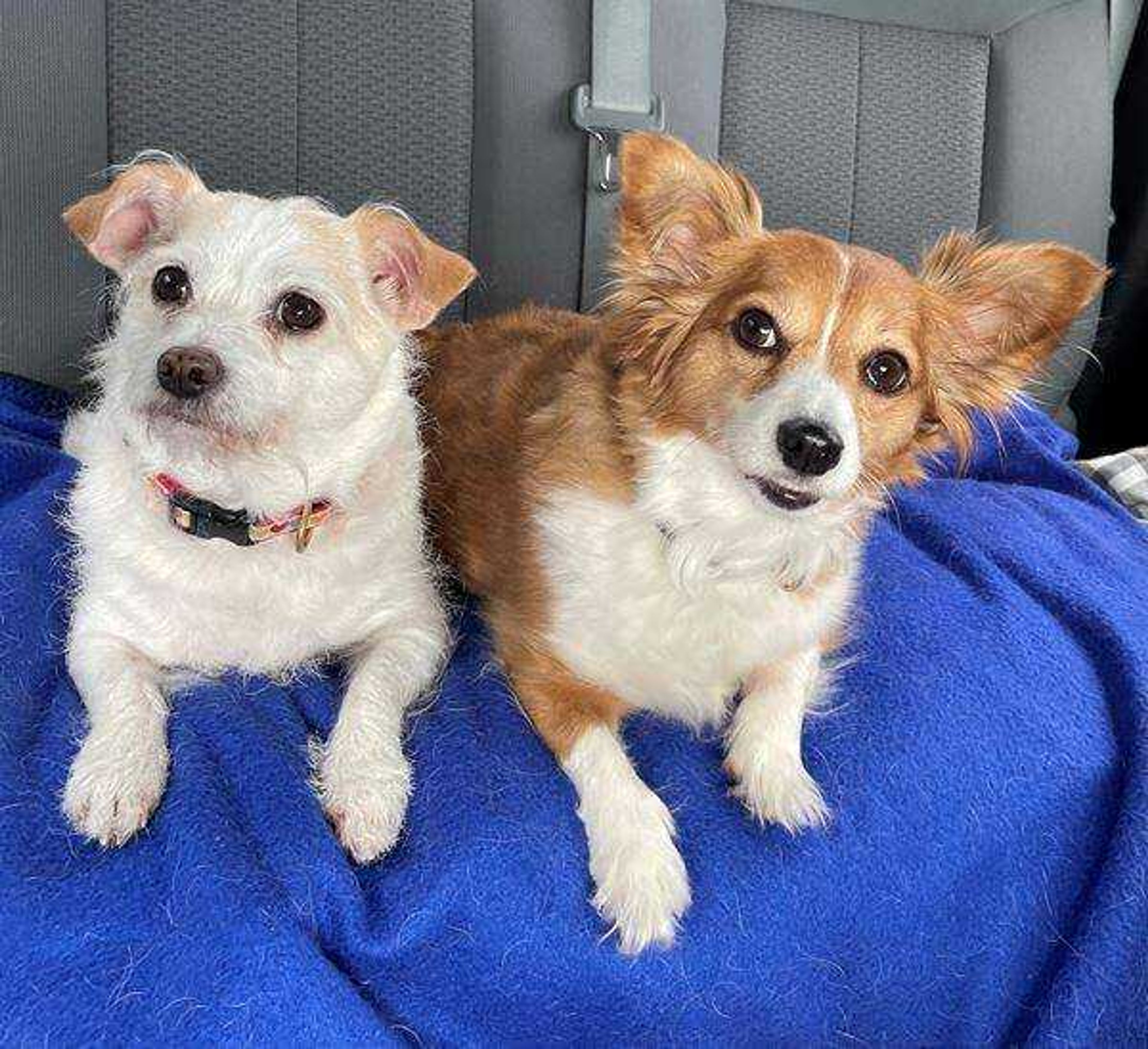 Going for a ride!&nbsp; -&nbsp; I love my sissy.