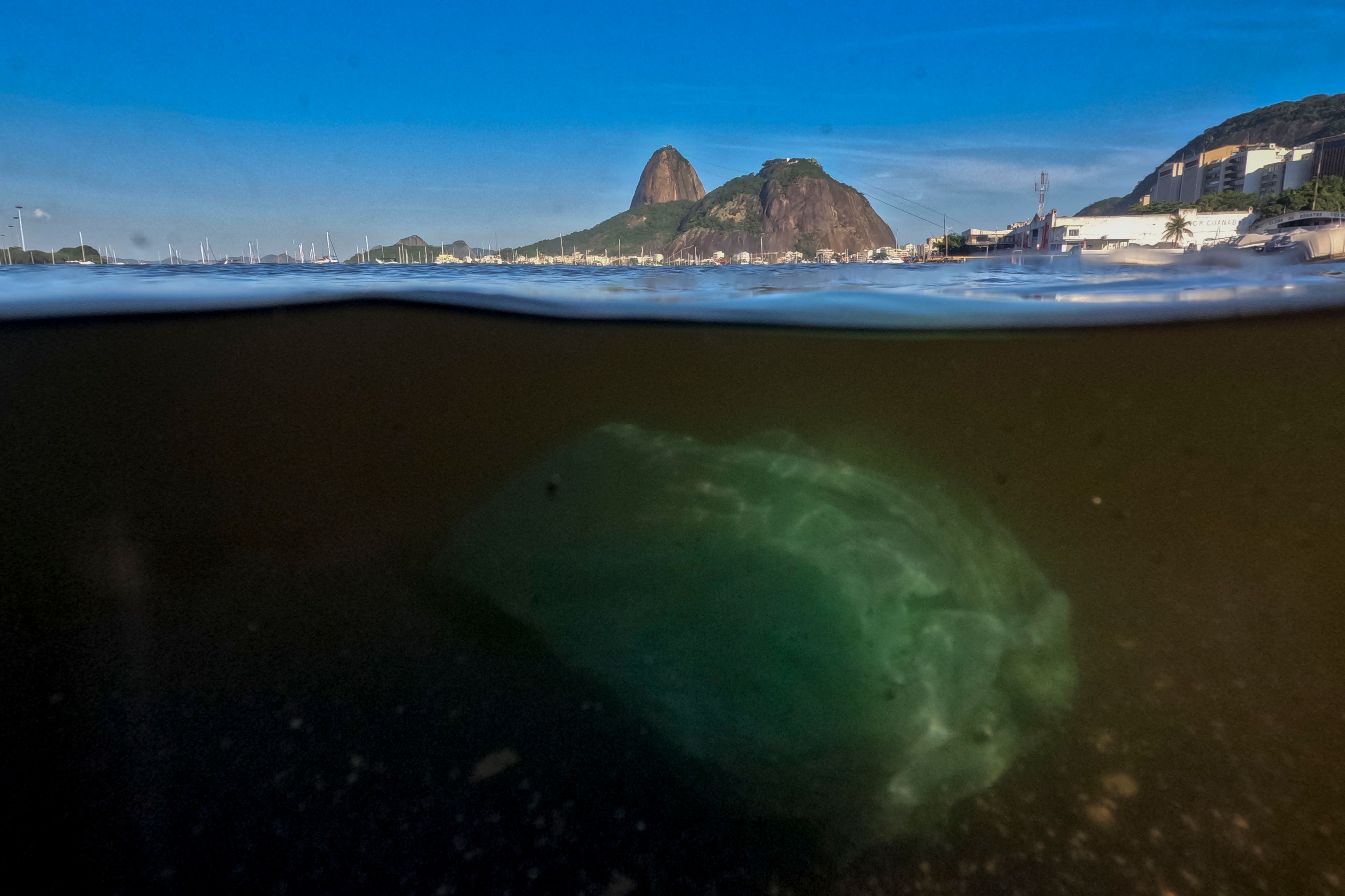 A discarded plastic bag floats in the waters of Botafogo beach in Rio de Janeiro, Tuesday, Nov. 26, 2024. (AP Photo/Bruna Prado)