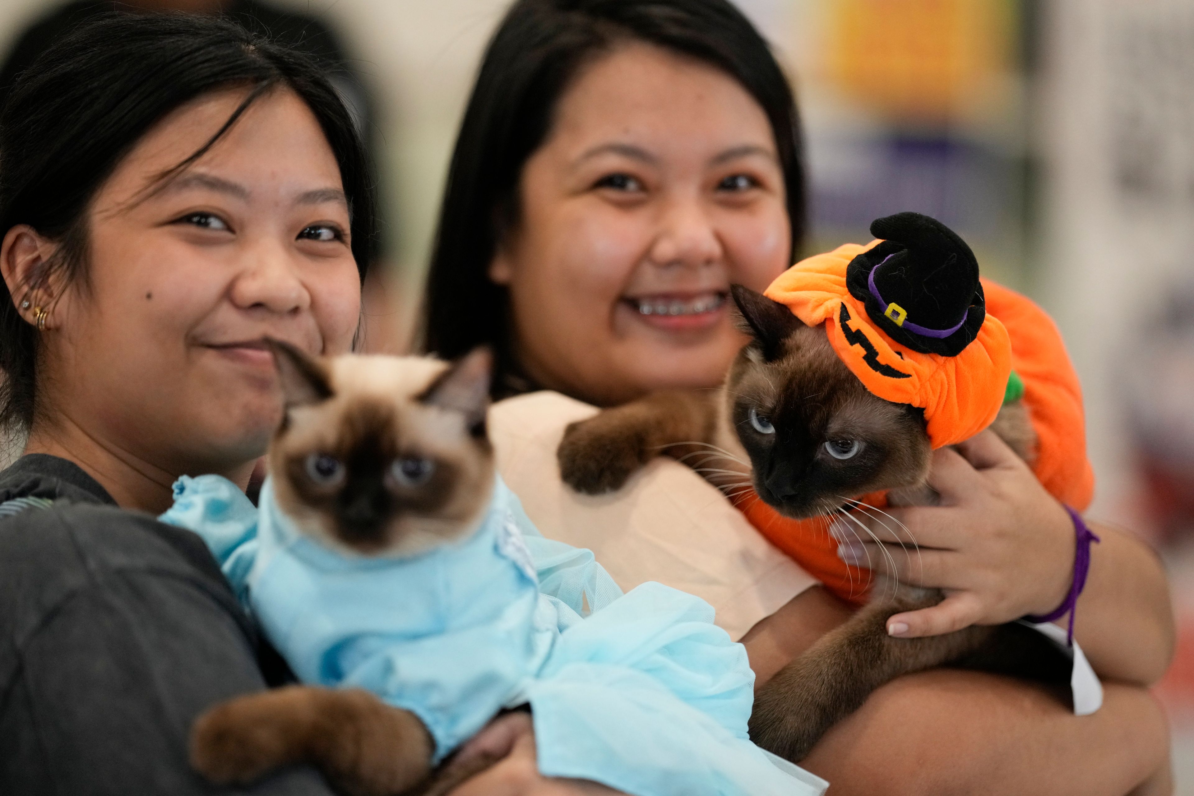 Pet owners carry their cats in costumes during a Halloween pet party at a mall in Valenzuela city, Philippines on Saturday, Oct. 19, 2024. (AP Photo/Aaron Favila)