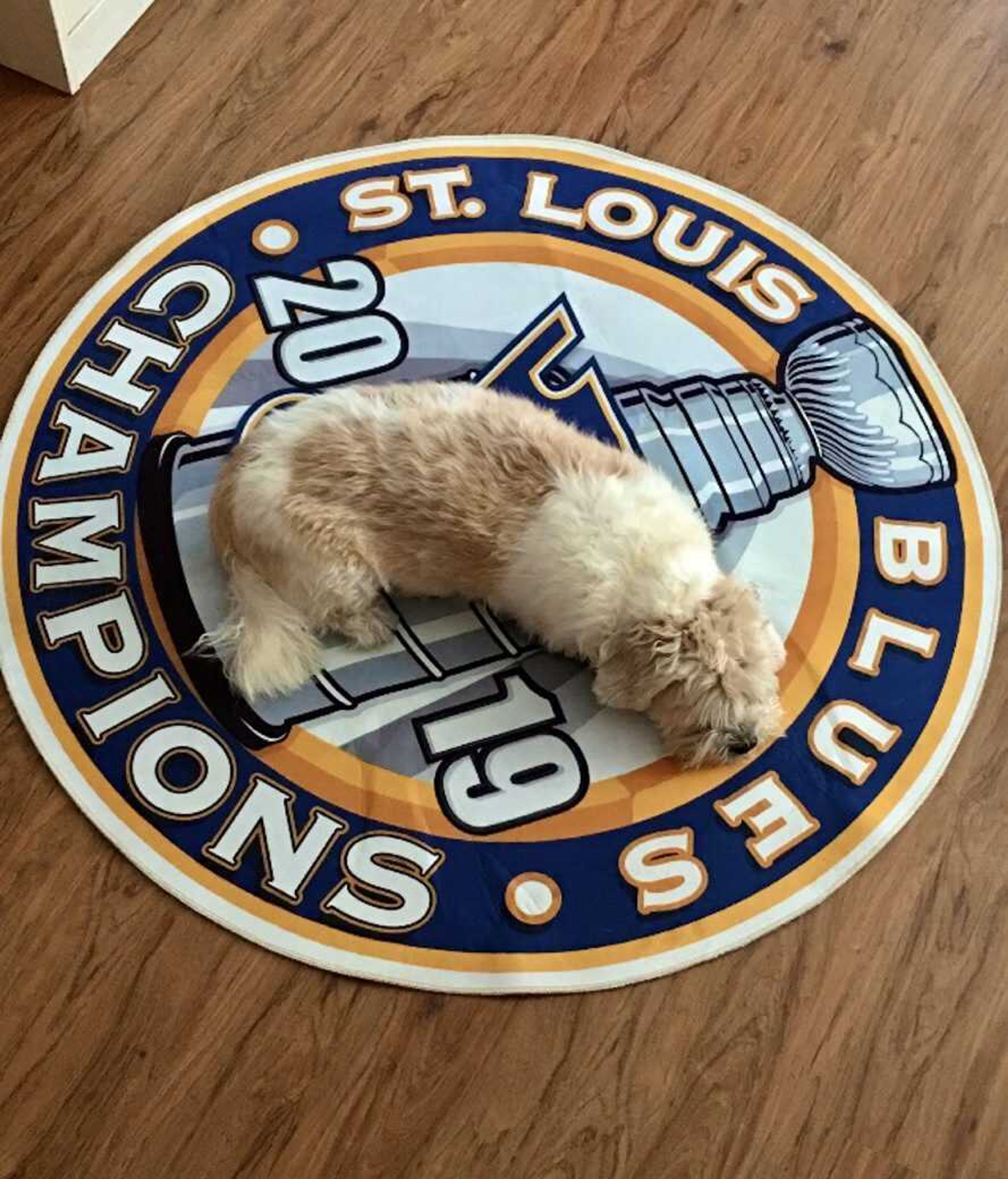 The Knudtson family dog, Bella, relaxes on a St. Louis Blues rug.