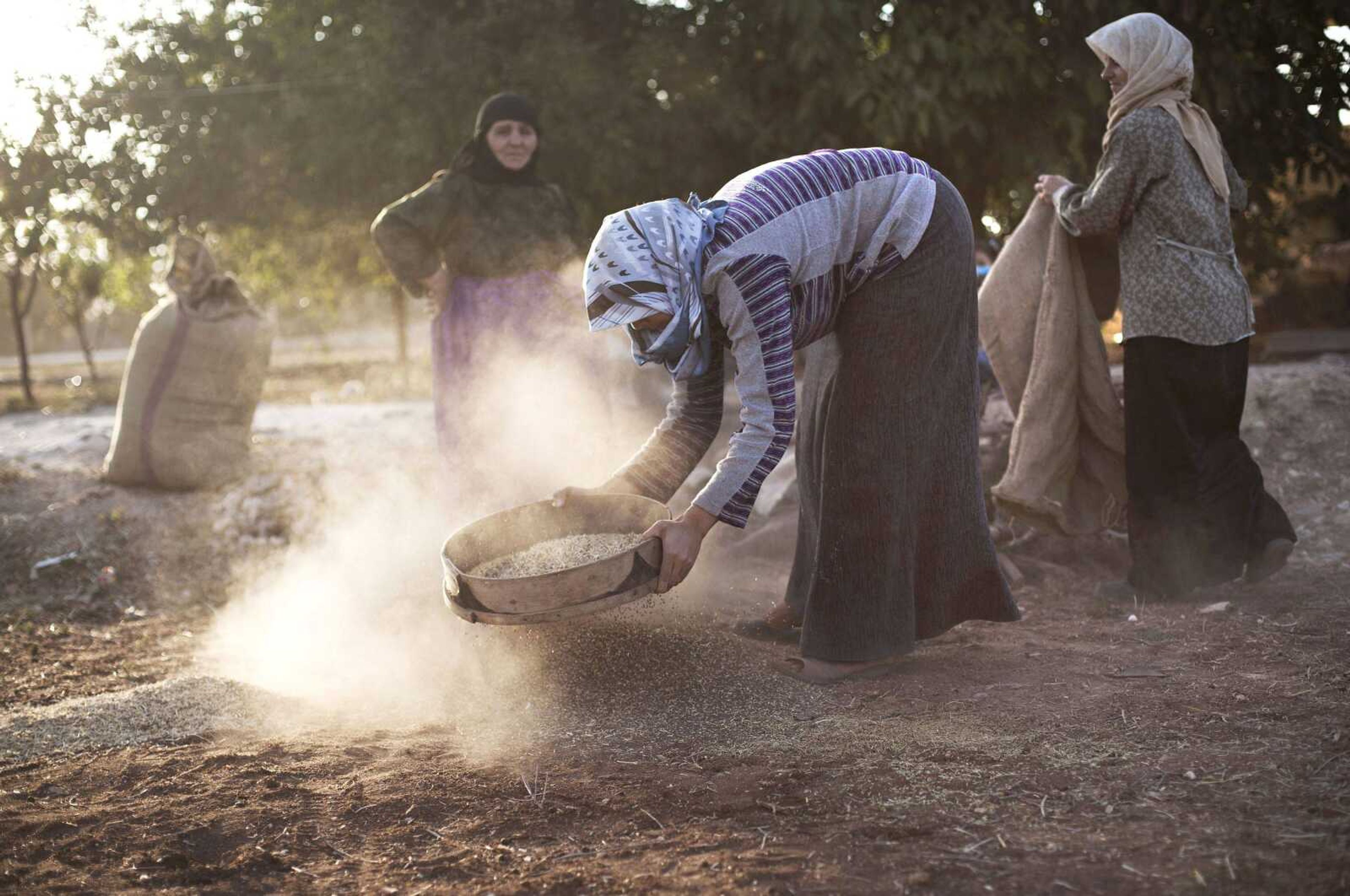 Syrian women work on their field on Sunday in the village of Tarafat, Syria. Regime forces punish the city daily with artillery and airstrikes. Civilians are killed and wounded while standing on bread lines, walking or watching television at home. (Manu Brabo ~ Associated Press)