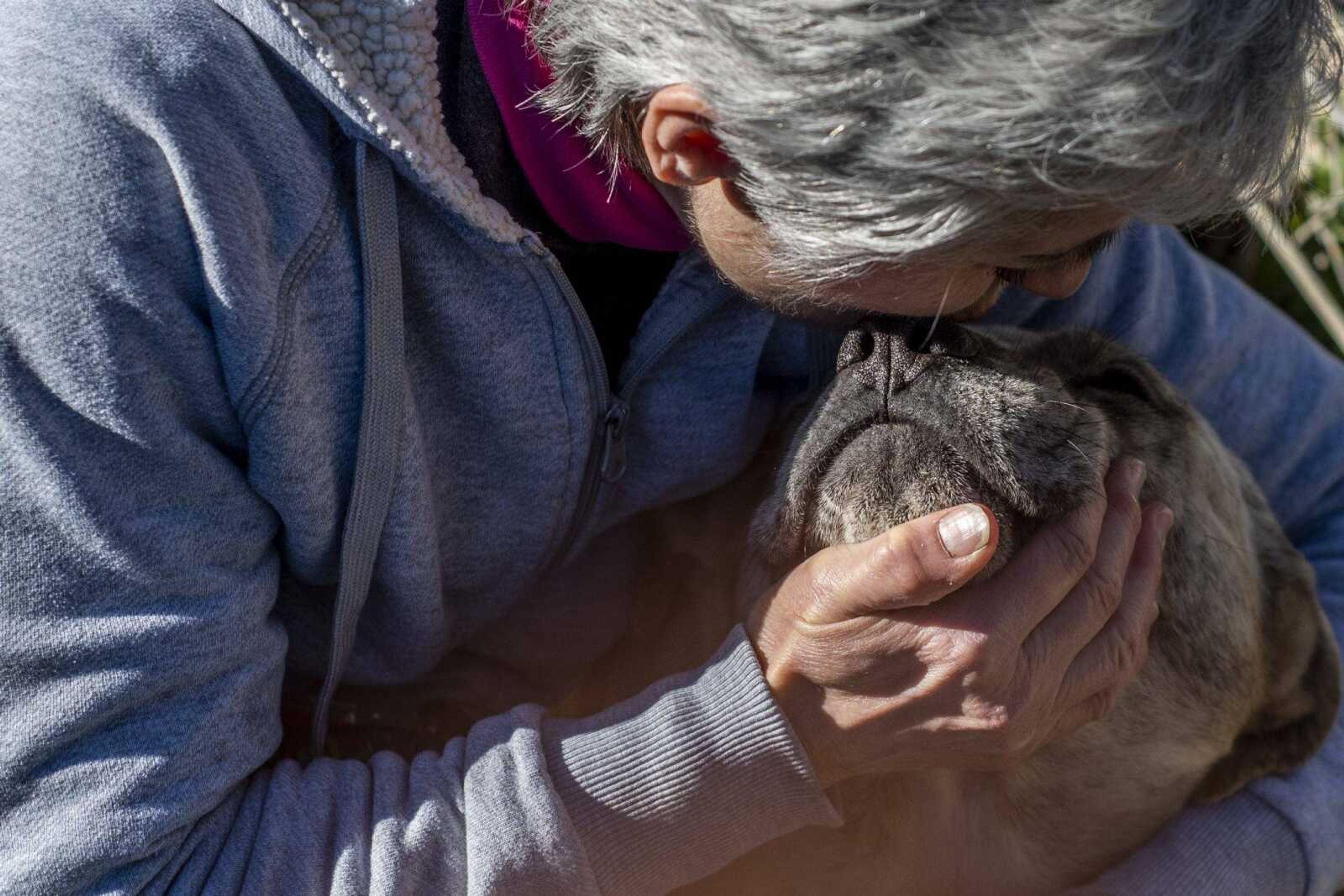 Marilyn Neville kisses on Wilma Dee, a bullmastiff mix, who is a semi-feral dog at the Bollinger County Stray Project Wednesday Jan. 9, 2019, in Zalma.