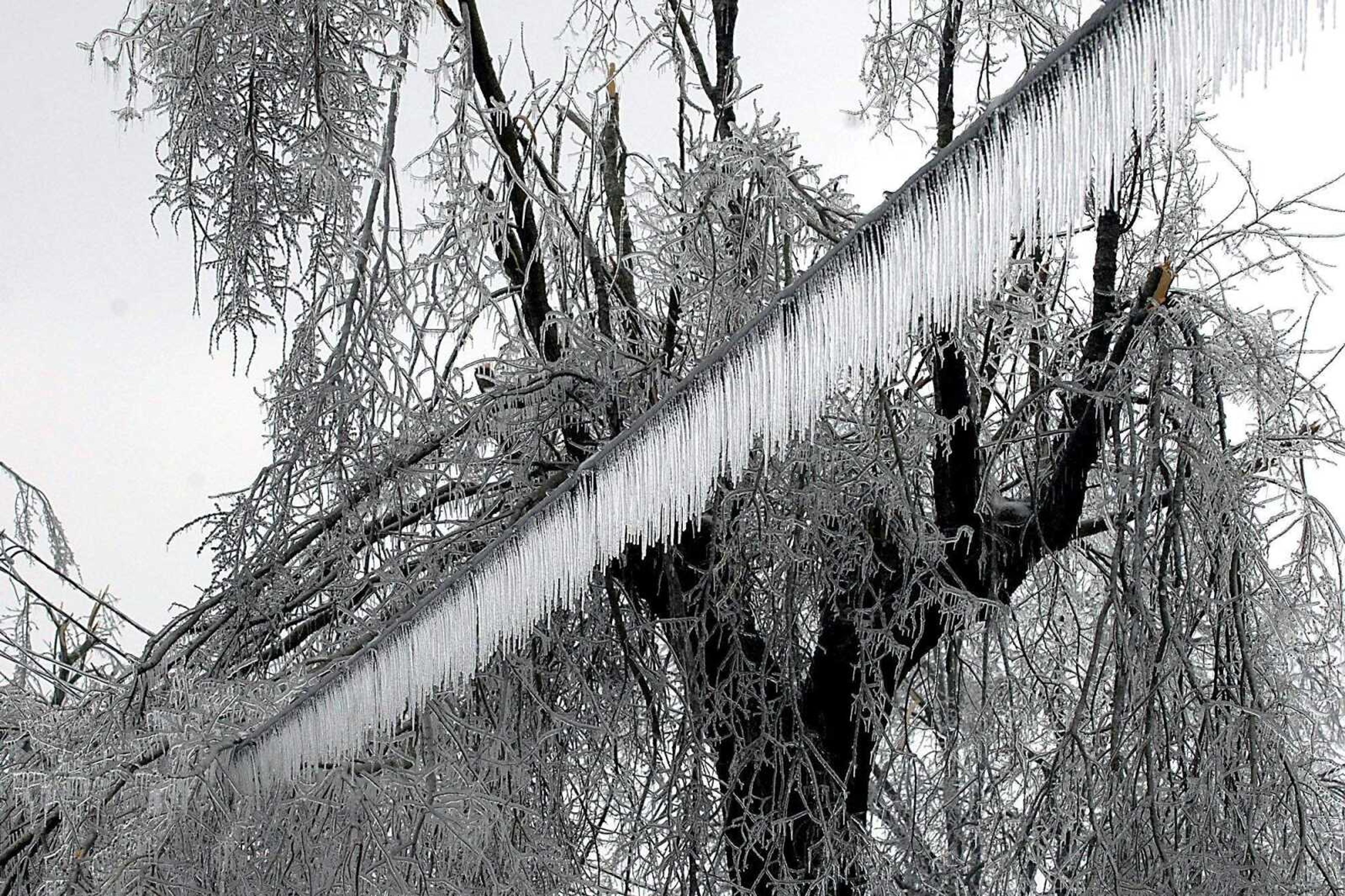 KIT DOYLE ~ kdoyle@semissourian.com
Ice-laden tree limbs leaned down on already ice-heavy utility lines Tuesday afternoon along Farmington St. in Jackson.