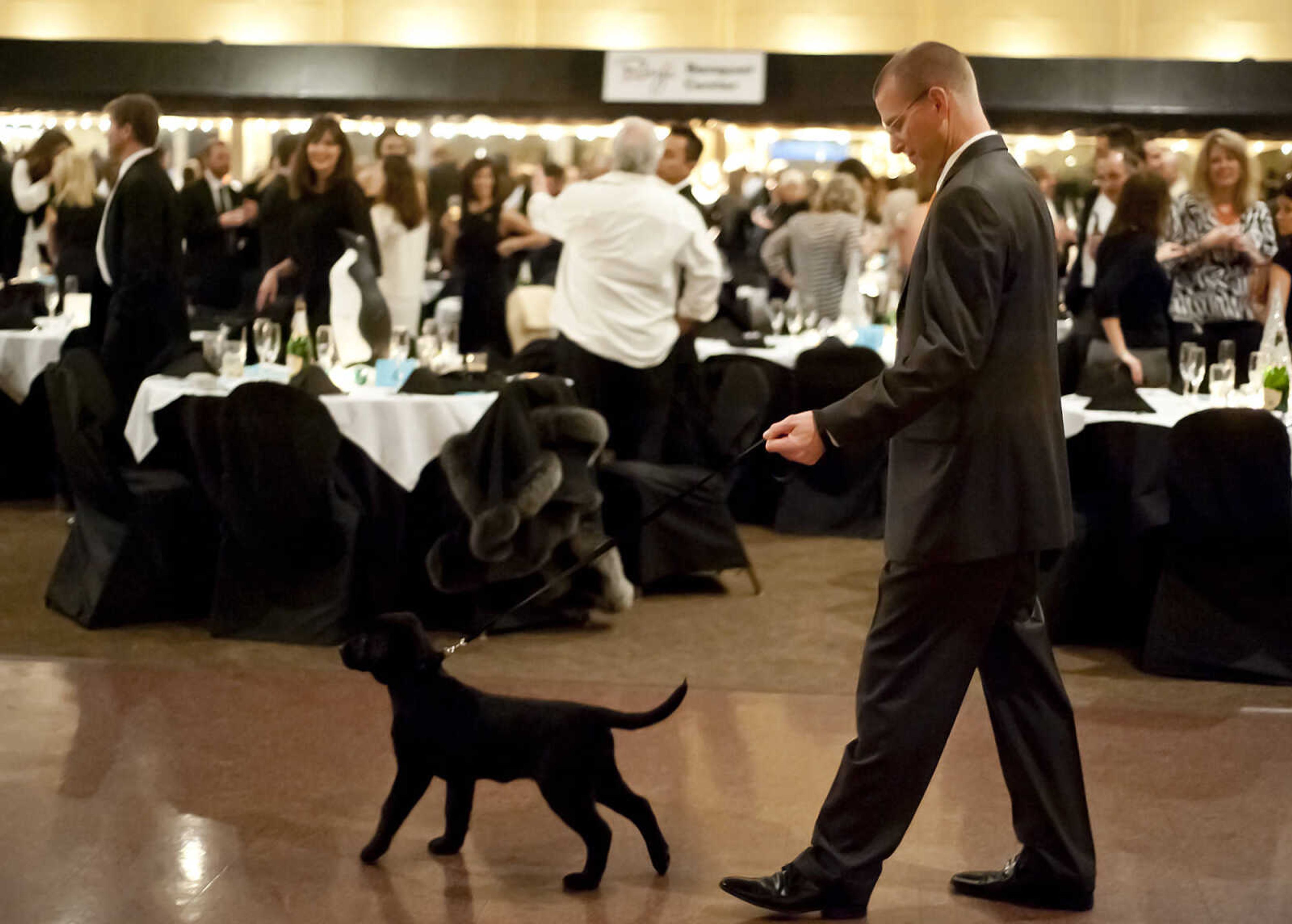 Kyle McDonald walks Lily, a Labrador Shepard mix puppy around the Cape Girardeau Public School Foundation Penguin Party Saturday, Feb. 8, at Plaza by Ray's in Cape Girardeau. The event, which is the foundation's annual fundraiser, featured a sit down plated dinner, a live and silent auction followed by dancing. Lily was up for auction as a "friend for life."