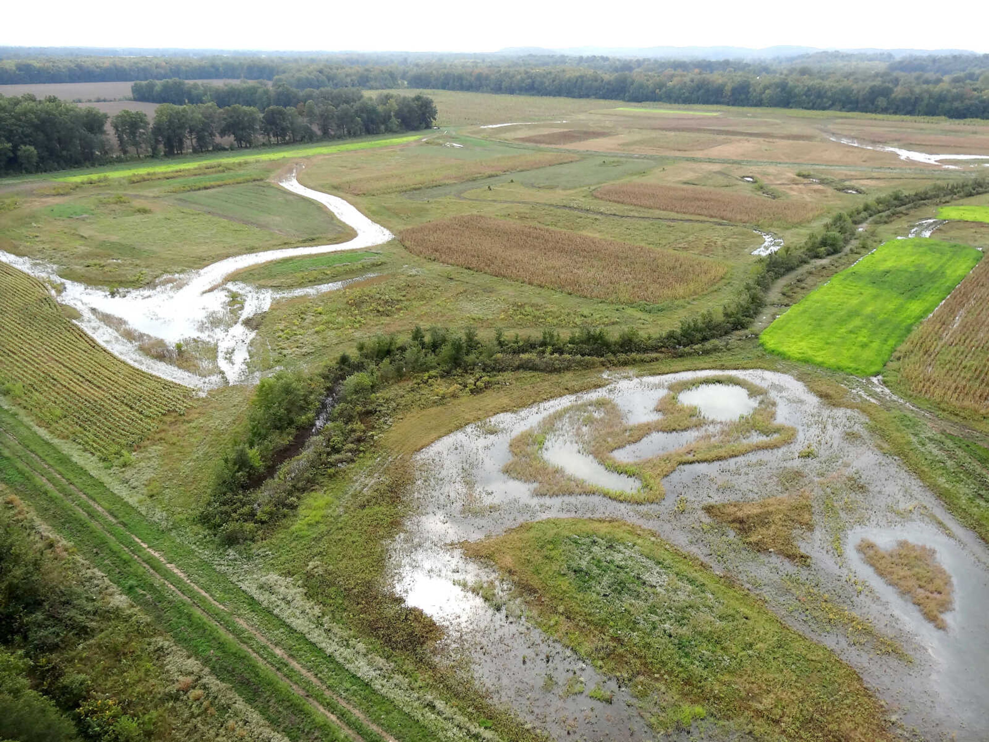 Southeast Missouri land under the Wetland Reserve Program (WRP), which is a common easement program implemented in the region. (Photo courtesy of USDA NRCS)