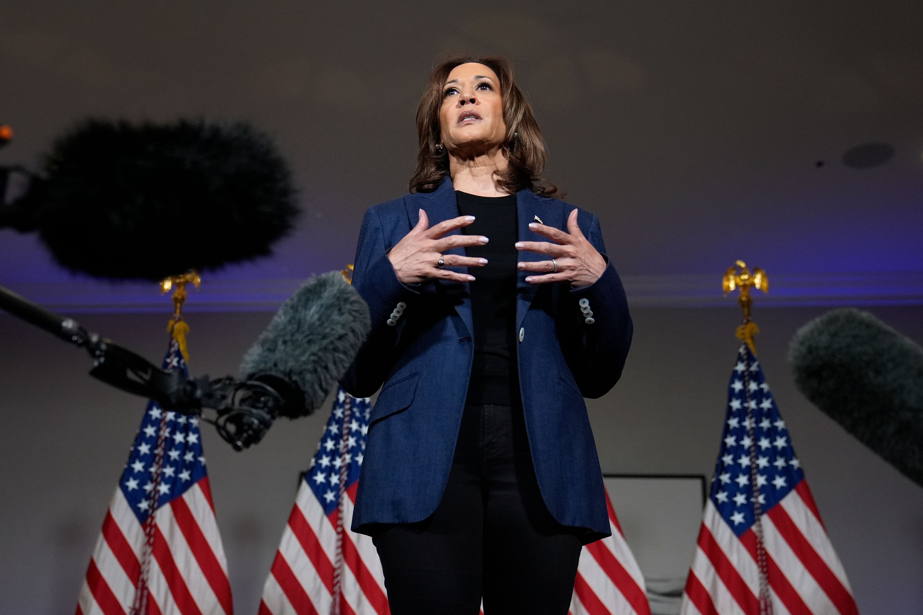 Democratic presidential nominee Vice President Kamala Harris speaks to reporters in Houston, Friday, Oct. 25, 2024. (AP Photo/Susan Walsh)