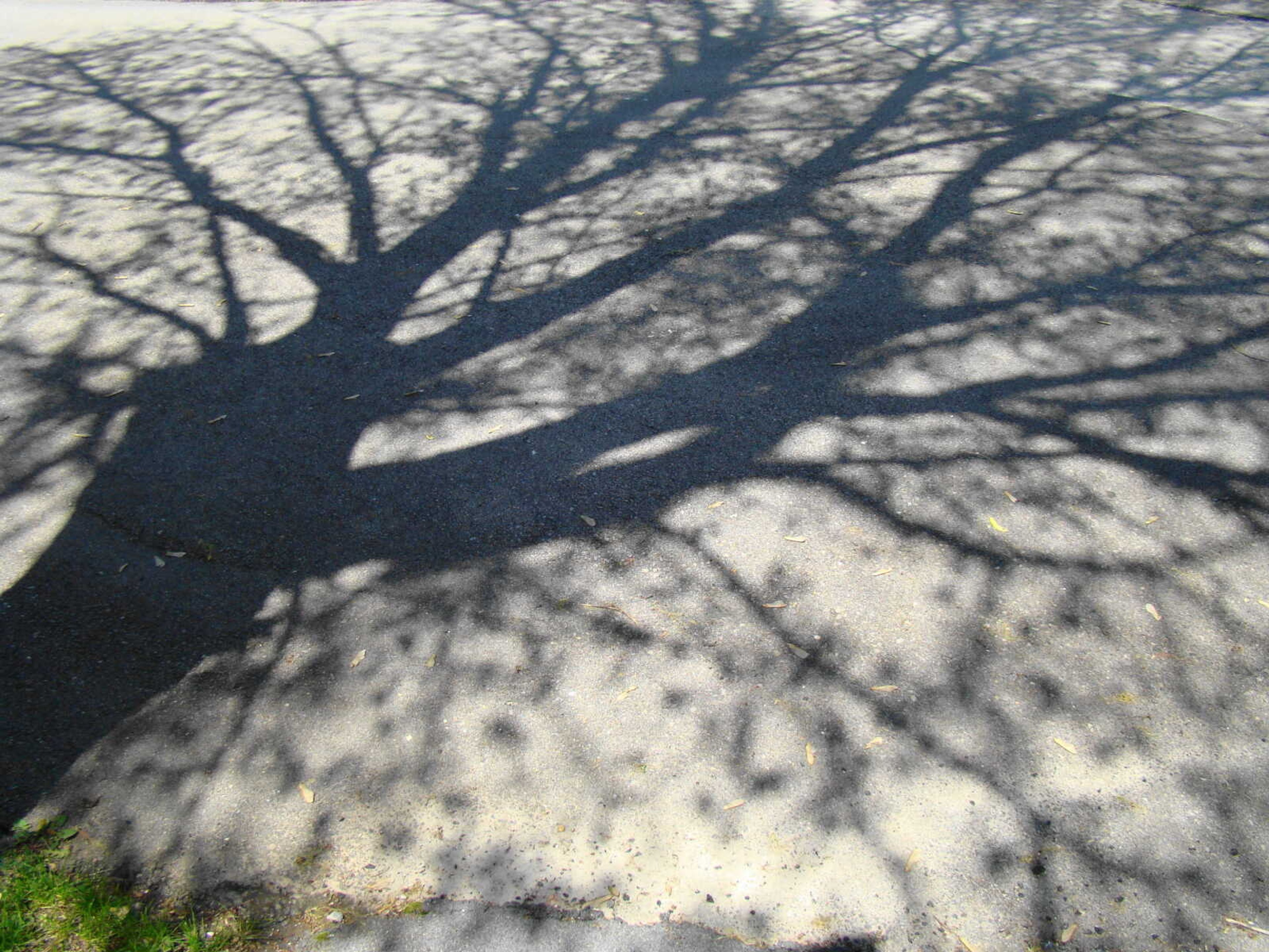 Shadows