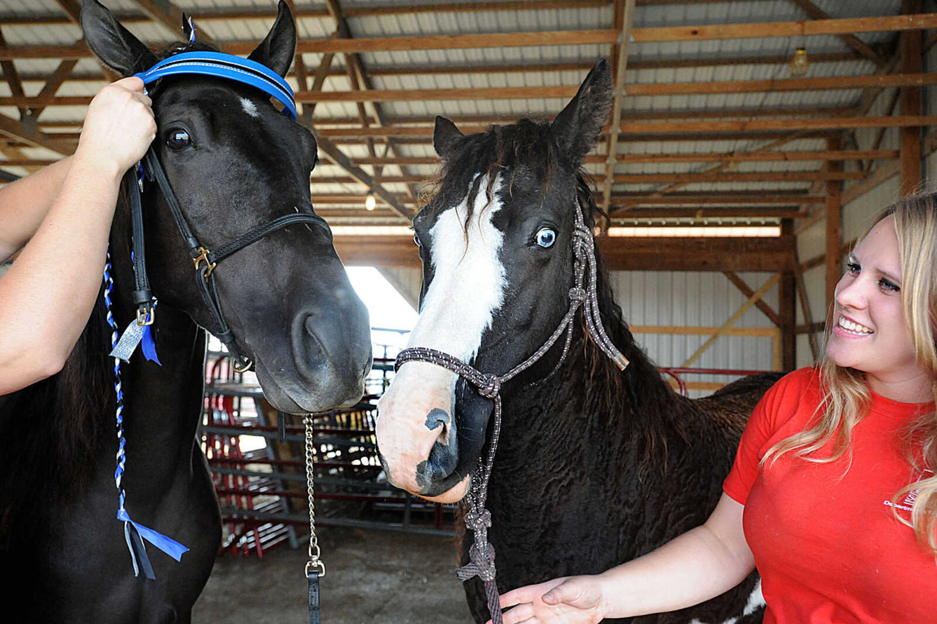 LAURA SIMON ~ lsimon@semissourian.com

Genny Bradshaw holds onto Dutchess, and American curly horse, as Carson Daly, a Tennessee walking horse, gets pretty, during the 12th annual Agriculture Education Field Day hosted by Southeast missouri State University's Department of Agriculture. Around 400 students from area schools spent the day learning at the Charles Hutson Horticulture Greenhouse and the David M. Barton Research Center.