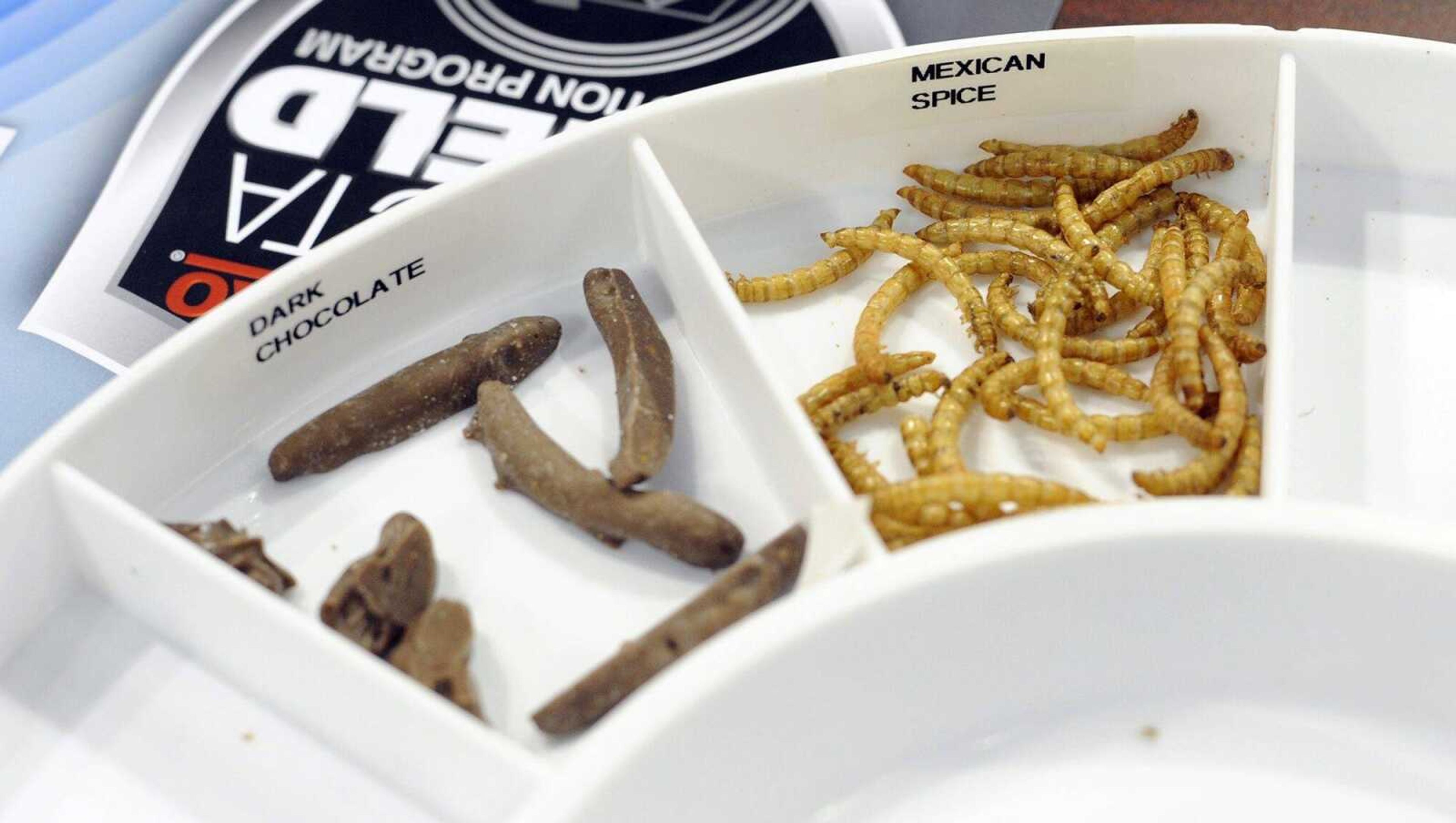 Chocolate and Mexican-spiced larvae are ready for sampling at the Bug Zero exhibit of the Heartland Home and Garden Show on Saturday at the Show Me Center.