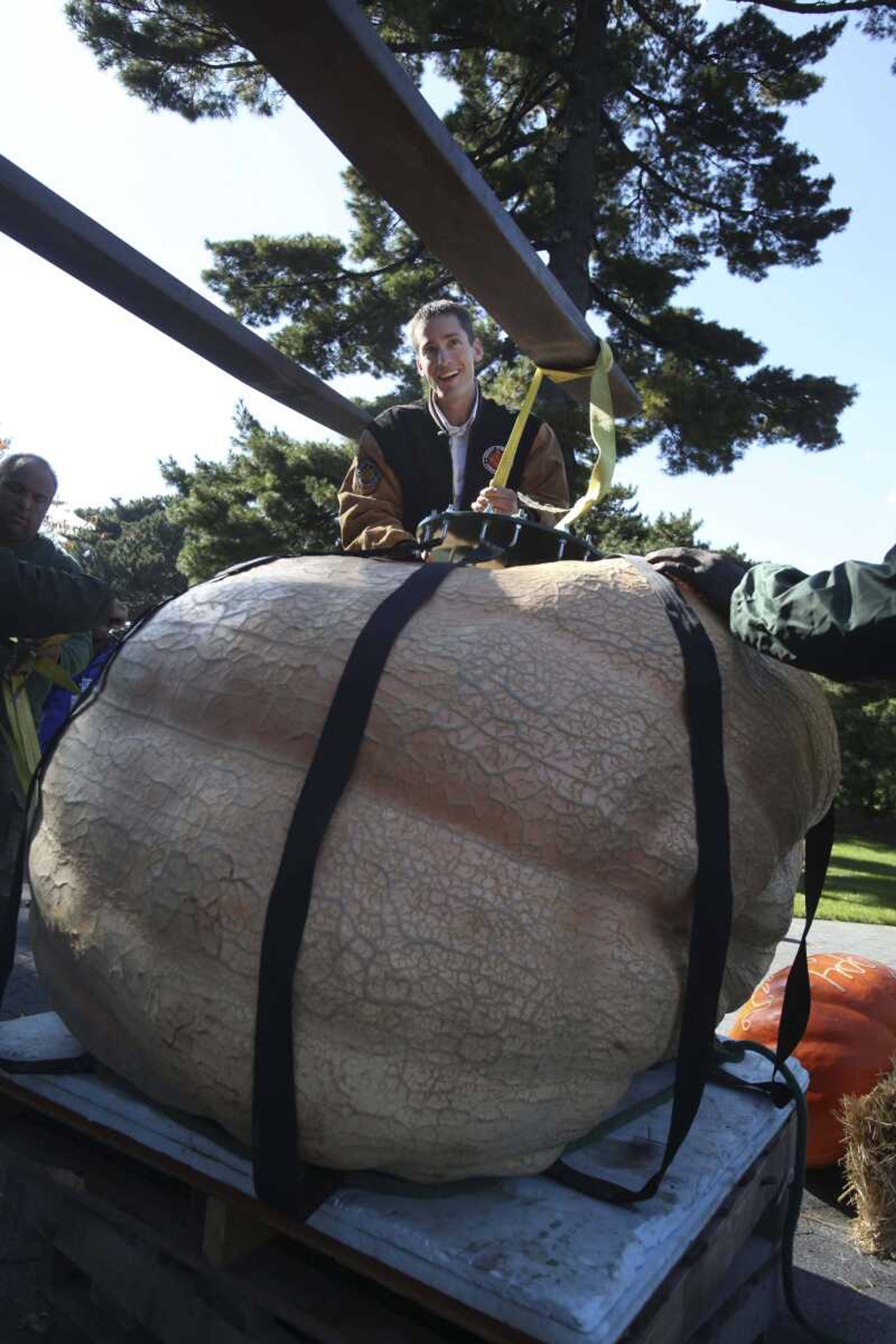 The largest pumpkin in the world, weighing 1,810.5 pounds, is hooked up to a forklift Thursday by its grower, Chris Stevens of New Richmond, Wis., center, and New York Botanical Garden employees in New York. Guinness World Records has confirmed the pumpkin is officially the world's heaviest. Stevens' pumpkin has a circumference of 186.5 inches, or more than 15 feet. When turned on its side, the pumpkin is more than waist-high to an average-size person.<br>Seth Wenig <br>Associated Press