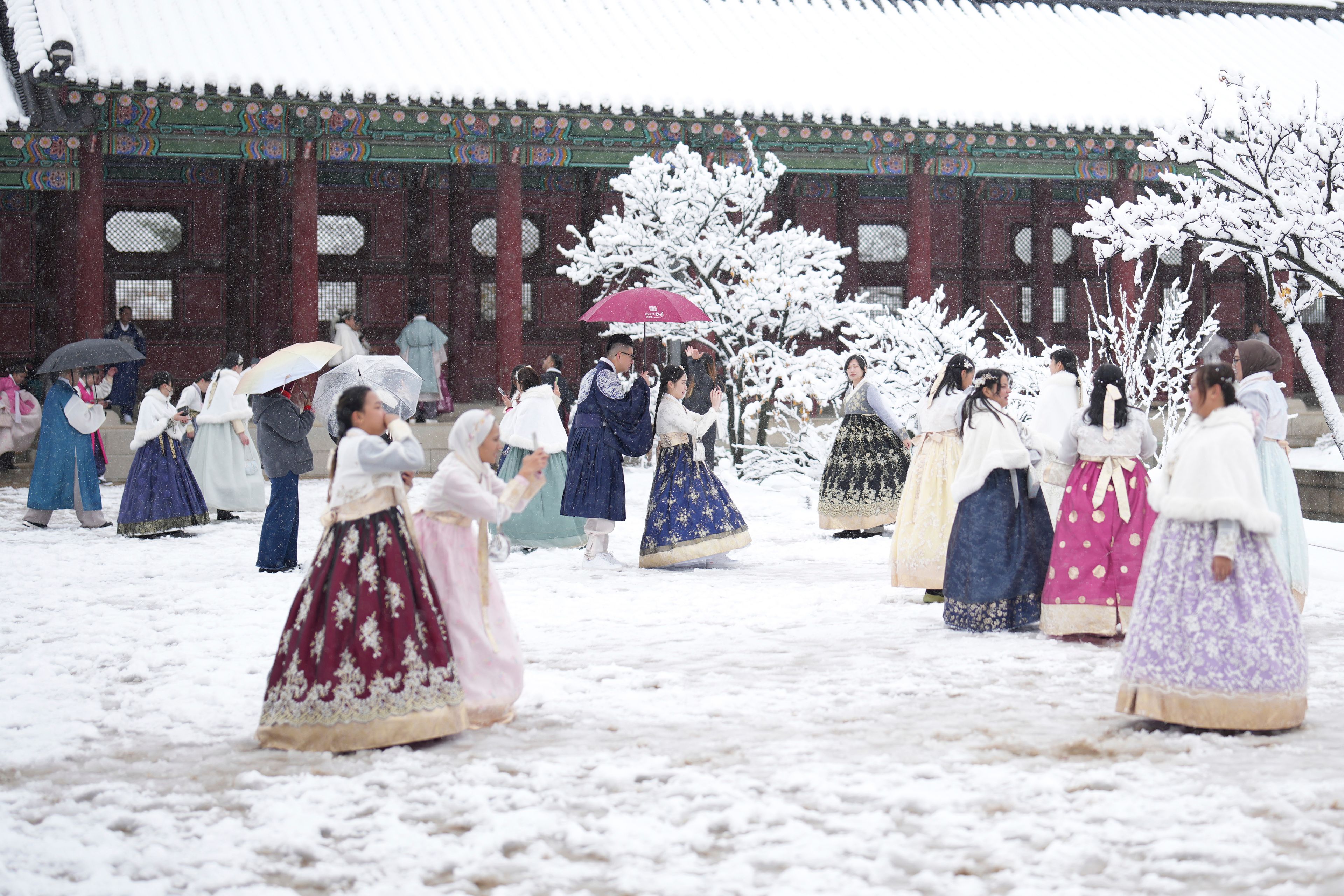 Biggest November snowstorm in half century hits Seoul and grounds flights