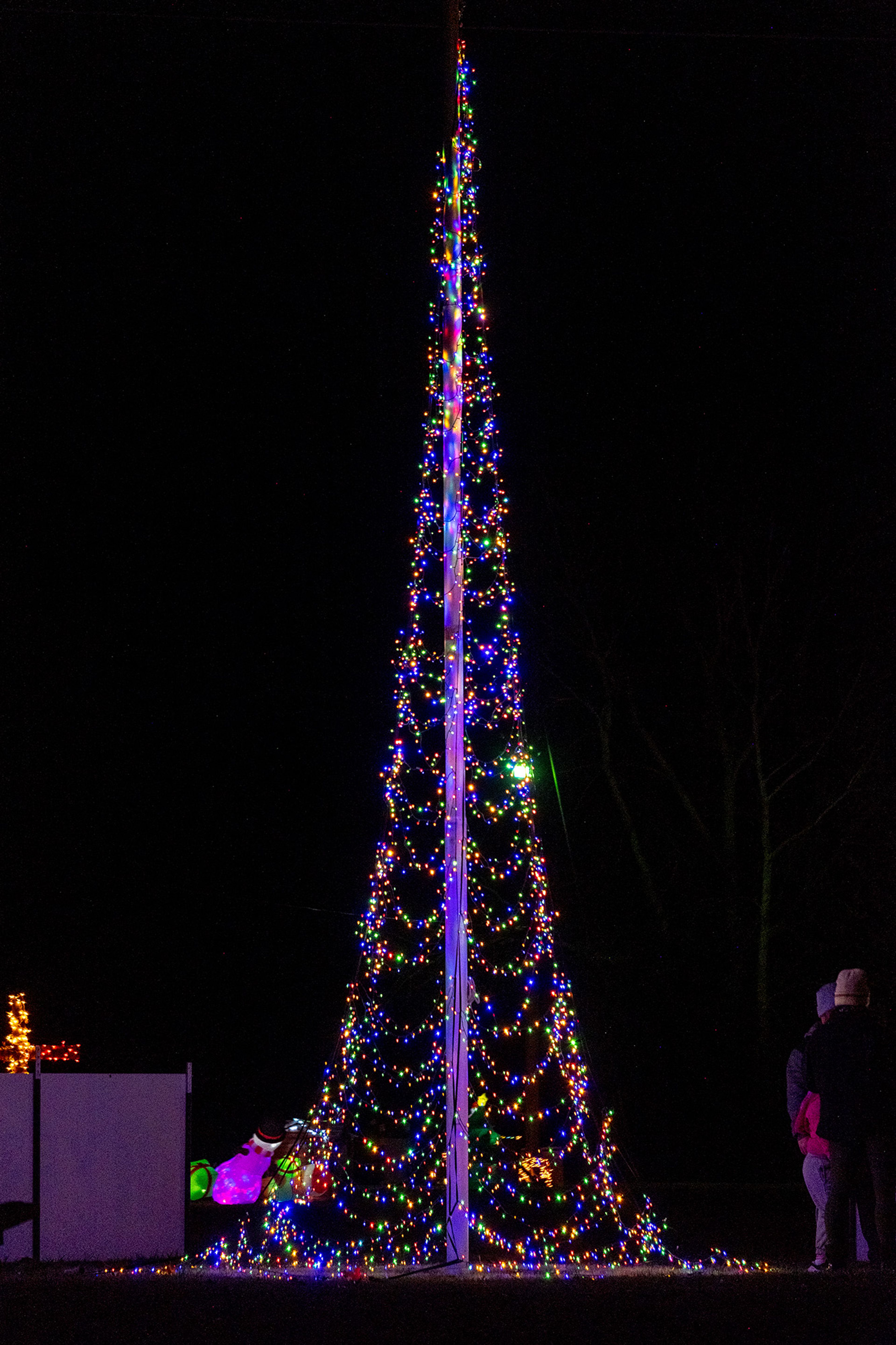 Becky Wiginton, president of the Marble Hill Chamber of Commerce, lights the tree in Magnolia Park.