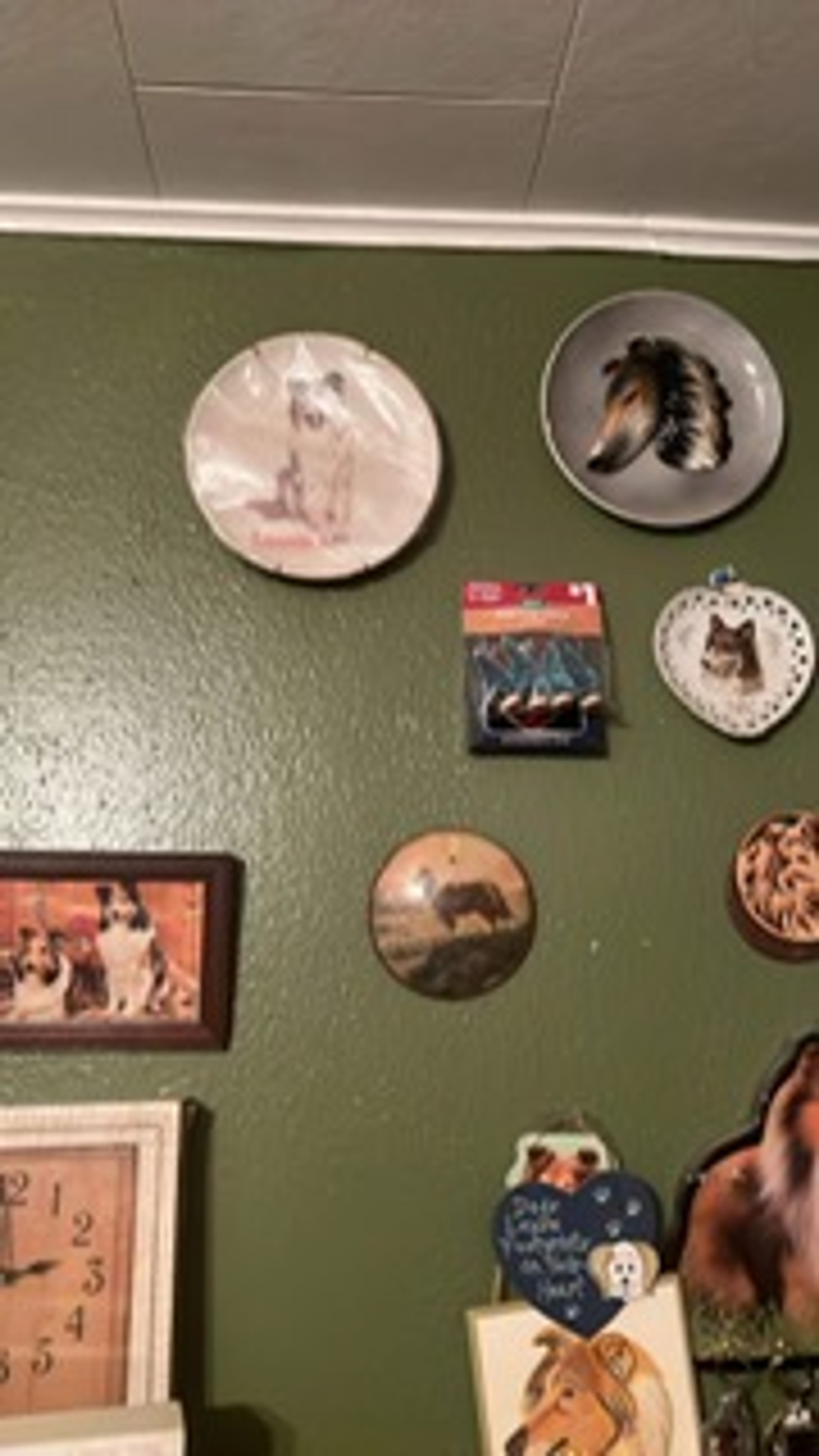 Mary Stucker has been collecting Lassie items since she was a child