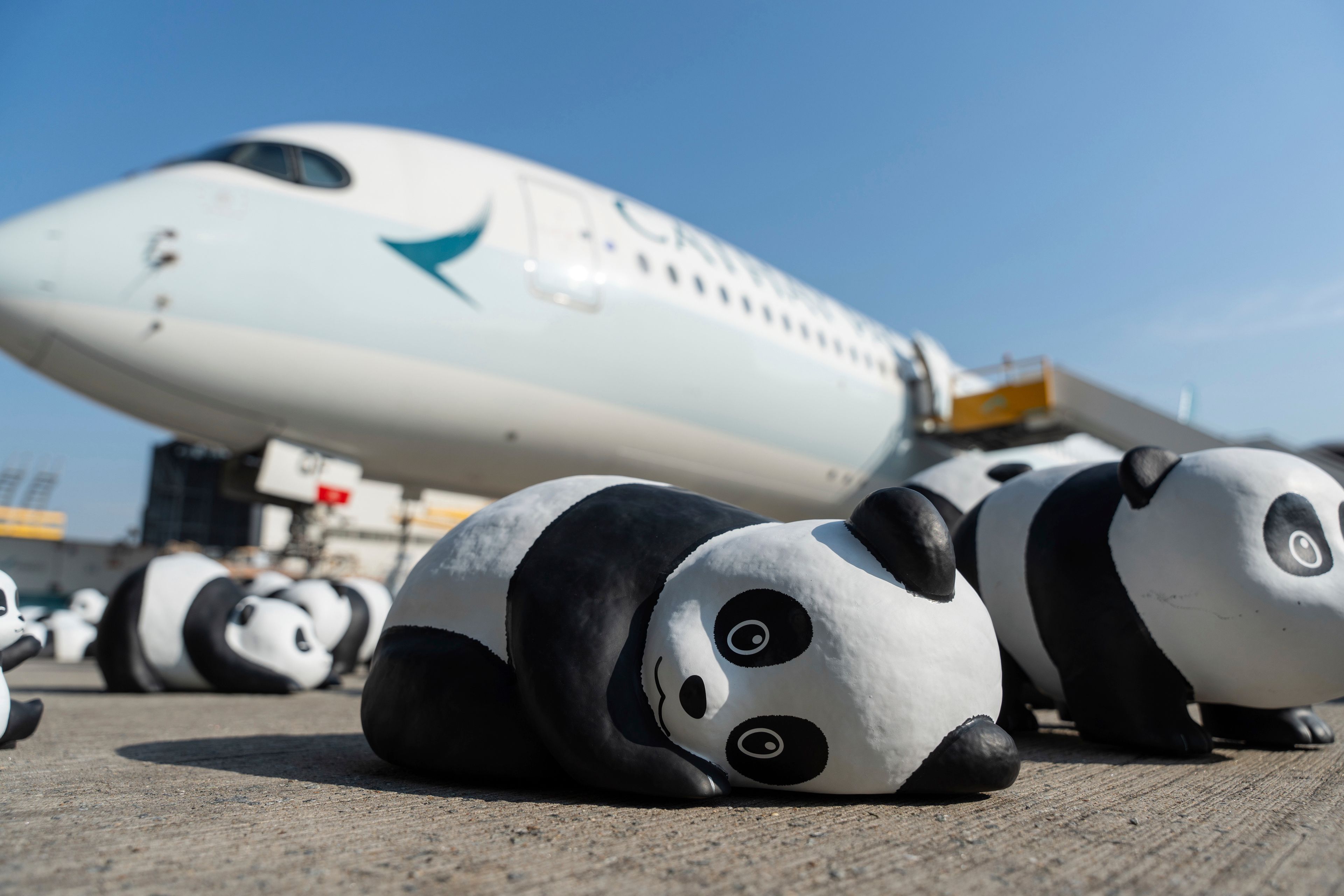 Part of 2500 panda sculptures are displayed at the Hong Kong International Airport during a welcome ceremony of the panda-themed exhibition "Panda Go!" in Hong Kong, Monday, Dec. 2, 2024. (AP Photo/Chan Long Hei)