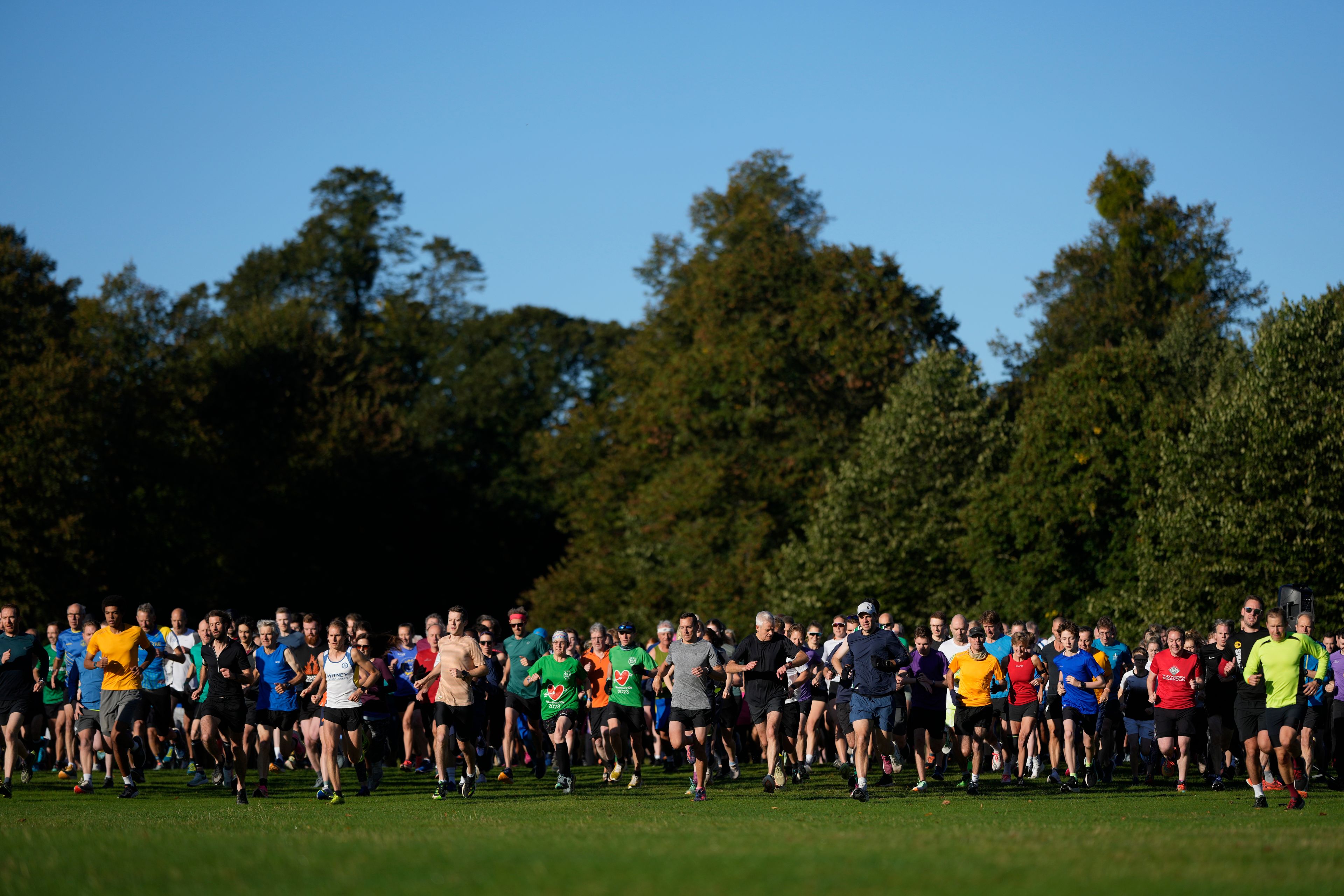 Runners compete in the parkrun event in Bushy Park, southwest London, Saturday, Sept. 28, 2024. (AP Photo/Alastair Grant)