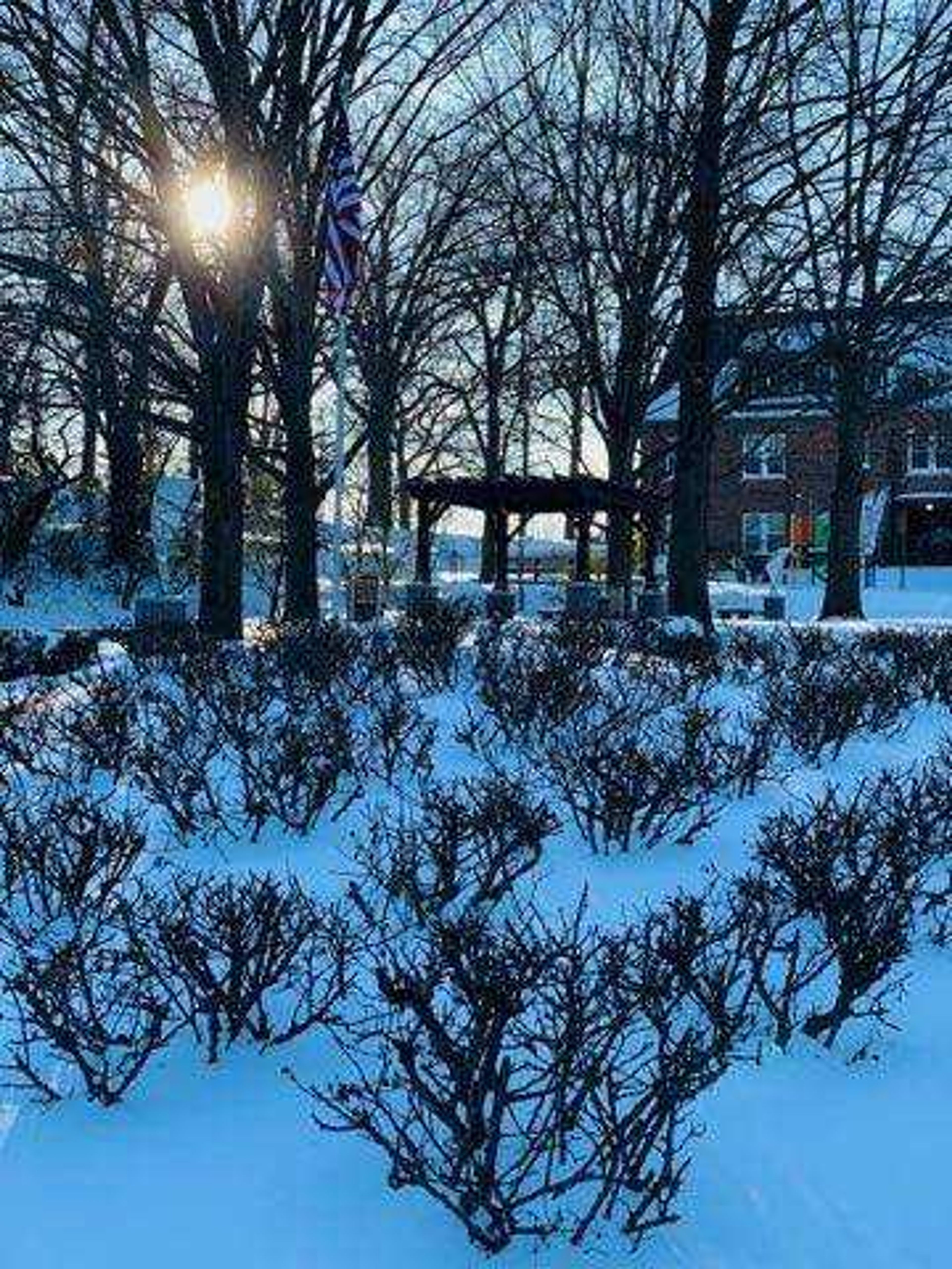 The sun falls behind trees on a cold, icy day in Downtown Cape Girardeau.