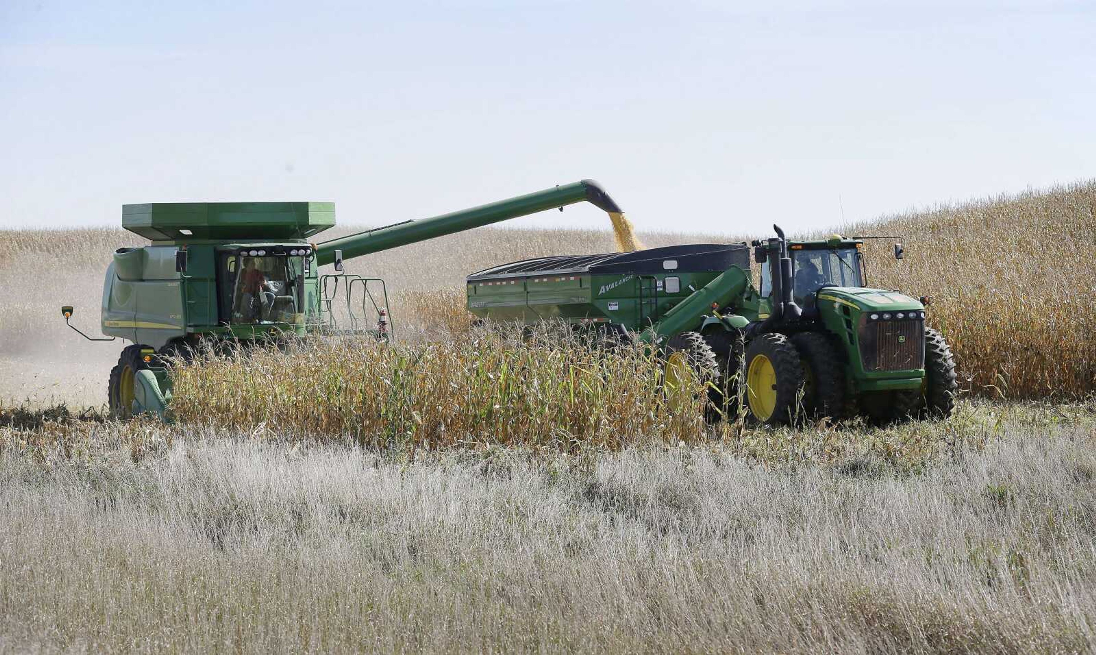 A farmer dumps corn in a grain trailer as he harvests a field, Monday, Oct. 7, 2013, near Clear Lake, Iowa. Farmers and livestock producers use the reports put out by the National Agriculture Statistics Service to make decisions &#243; such as how to price crops, which commodities to grow and when to sell them &#243; as well as track cattle auction prices. Not only has the NASS stopped putting out new reports about demand and supply, exports and prices, but all websites with past information have been taken down. (AP Photo/Charlie Neibergall)