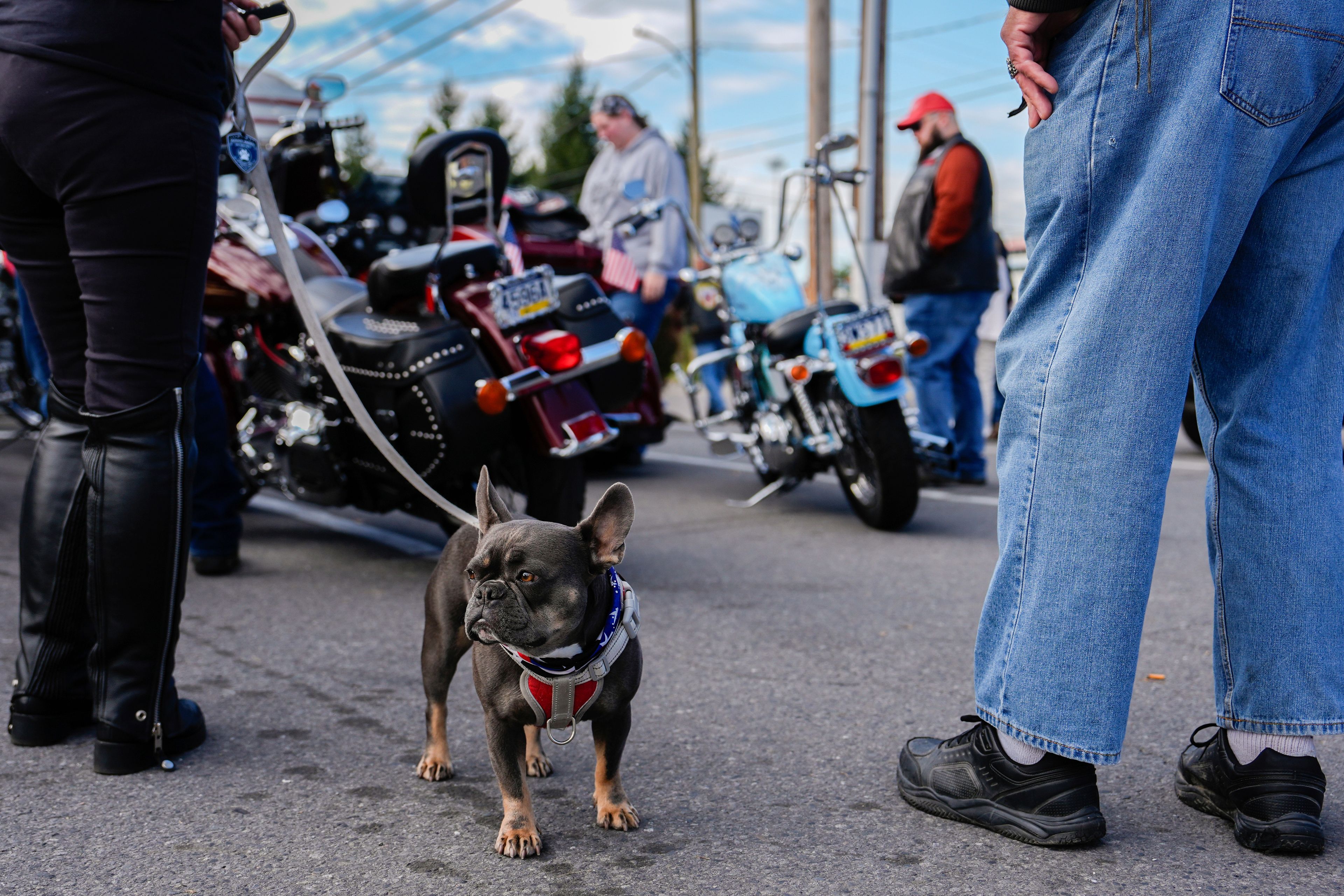 Bikers for Trump wait outside a diner before a campaign rally for Republican presidential nominee former President Donald Trump at Riverfront Sports, Wednesday, Oct. 9, 2024, in Scranton, Pa. (AP Photo/Julia Demaree Nikhinson)