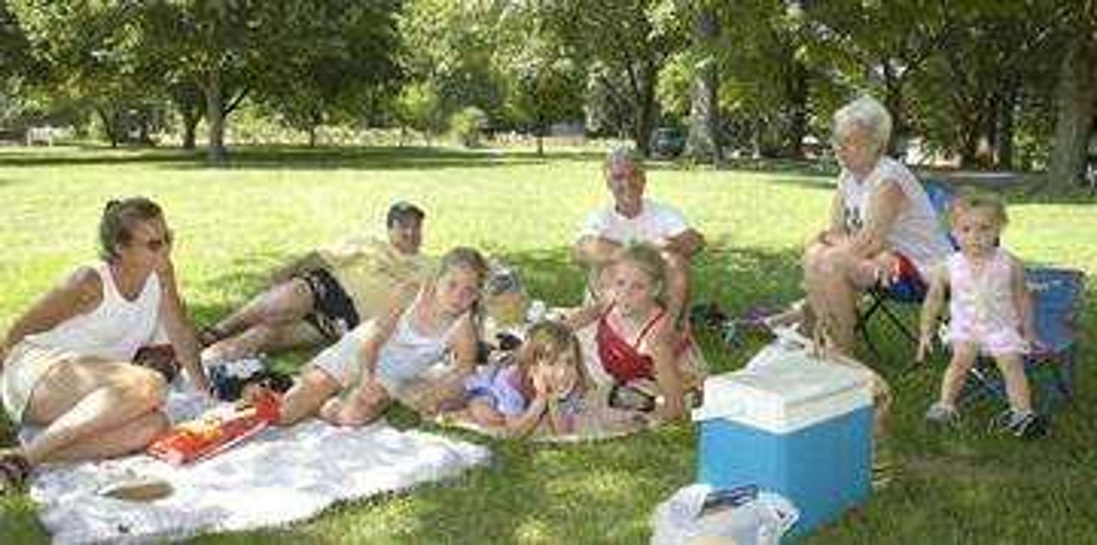 The Payne family from Cape Girardeau and Boulder, Co.  Friday, July 4, 2003, gathering together for a family picnic in Cape Girardeau's Capaha Park.