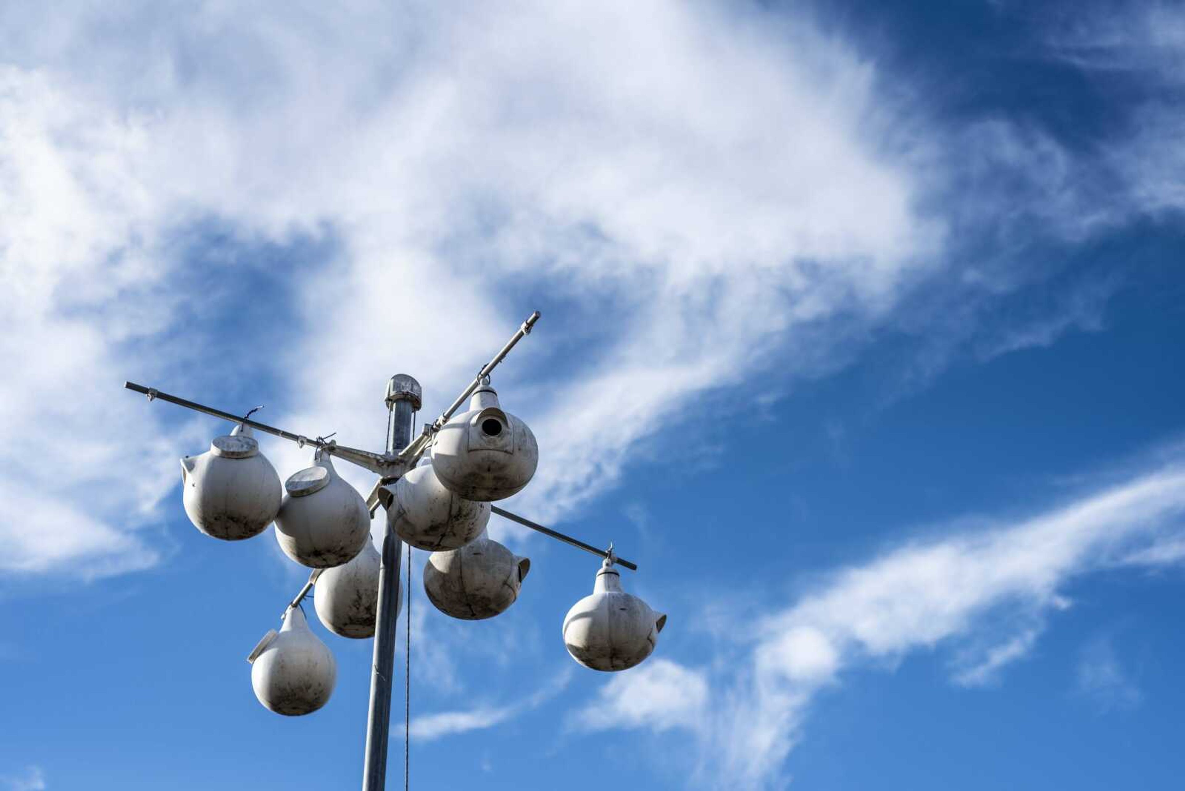 KASSI JACKSON ~ kjackson@semissourian.com <br>  <br> Purple martin housing is seen out front of Sunny Hill Gardens & Florist Wednesday, Feb. 20, 2019, in Cape Girardeau.