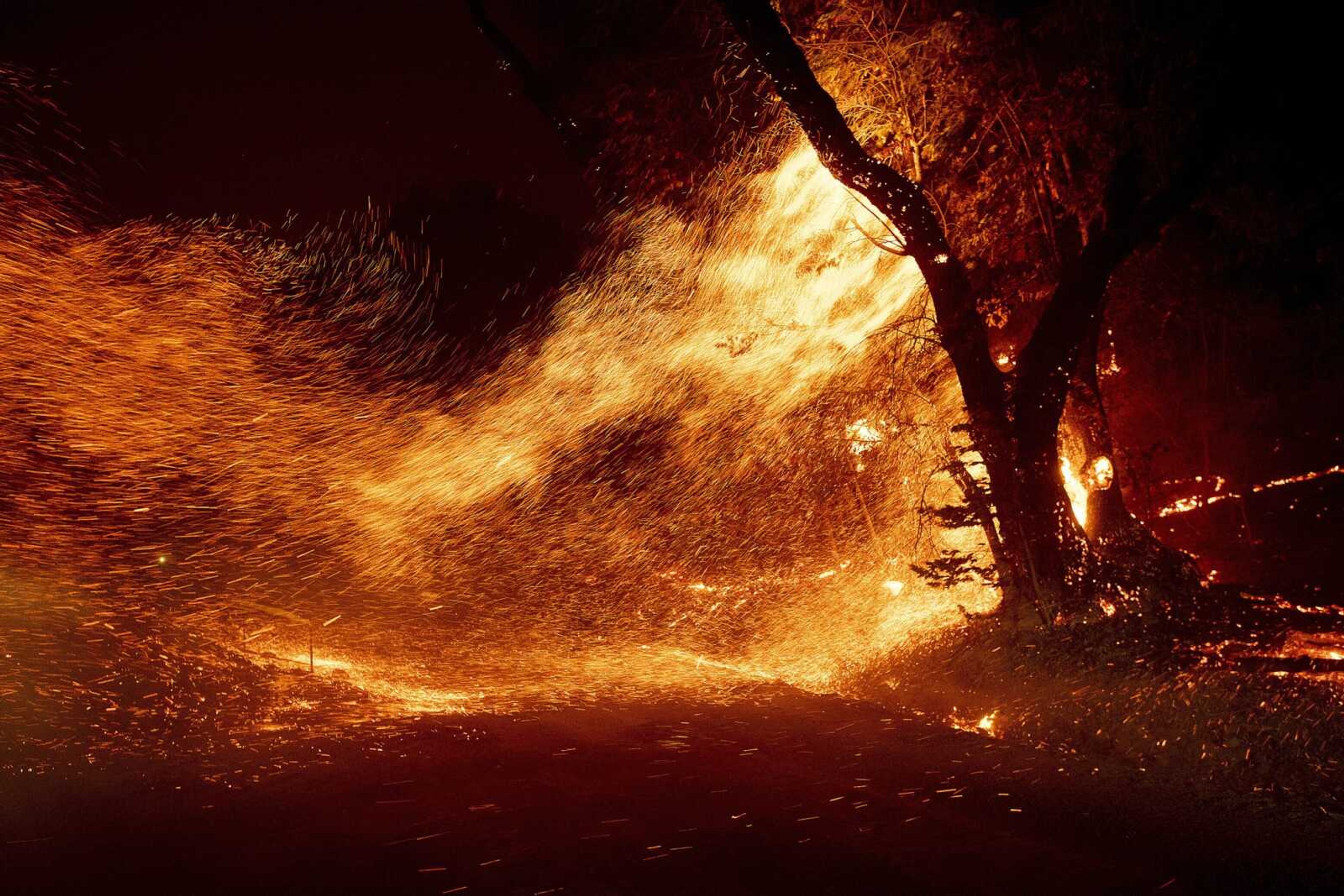 Wind whips embers from a tree as the Kincade Fire burns Thursday in unincorporated Sonoma County, California.