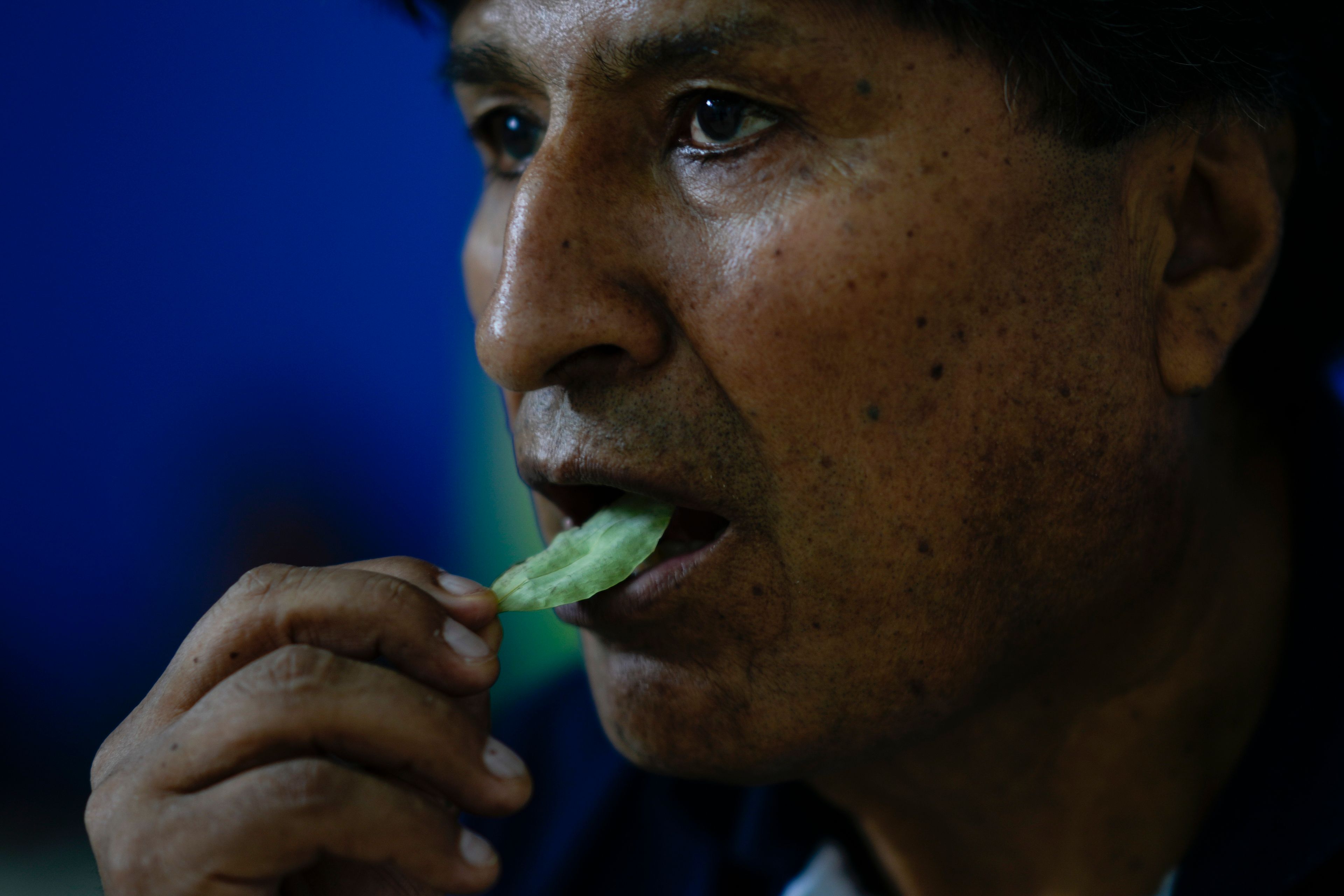 Bolivia's former President Evo Morales chews coca in Lauca N, Chapare region, Bolivia, Sunday, Nov. 3, 2024, amid an ongoing political conflict with the government of President Luis Arce. (AP Photo/Juan Karita)