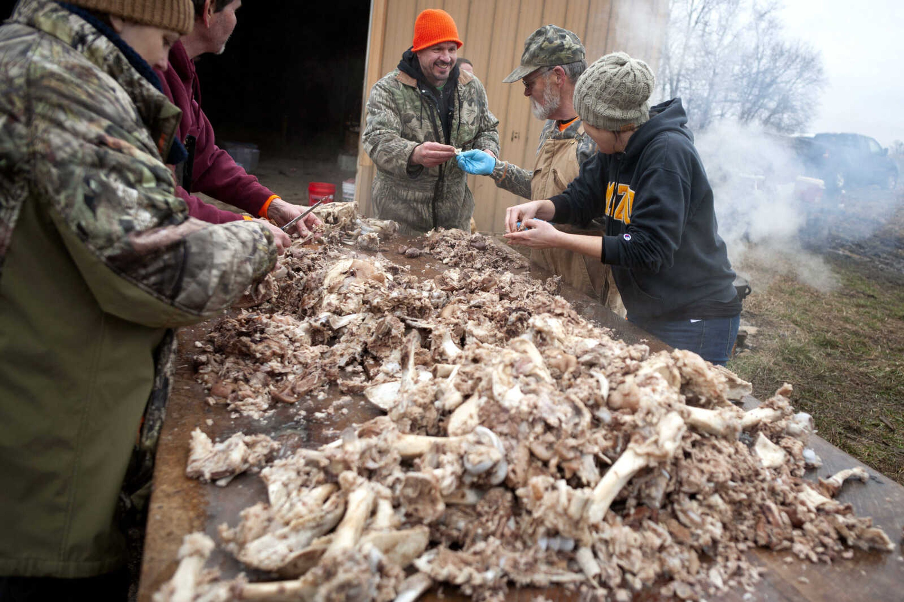 Mike Hotop (center) gives a piece of meat to Roger Schremp of Apple Creek, Missouri, next to Julia Kliefoth (right) while also working with Stefanie Kuntz (far left) and Pat Hotop (second from left) to take cooked hog meat off the bone. "Honestly, when I was a kid, used to just love it. We used to run and play and up and down the creeks and always playing outside and all adults did all the work," Mike said. "And then, as it went, then we started doing it cause we like the fresh pork. You know doing it ourself. We like to do it. We had the facilities. We had the equipment. ... Decided to keep it going. Make our kids know what it's like." Published March 2.