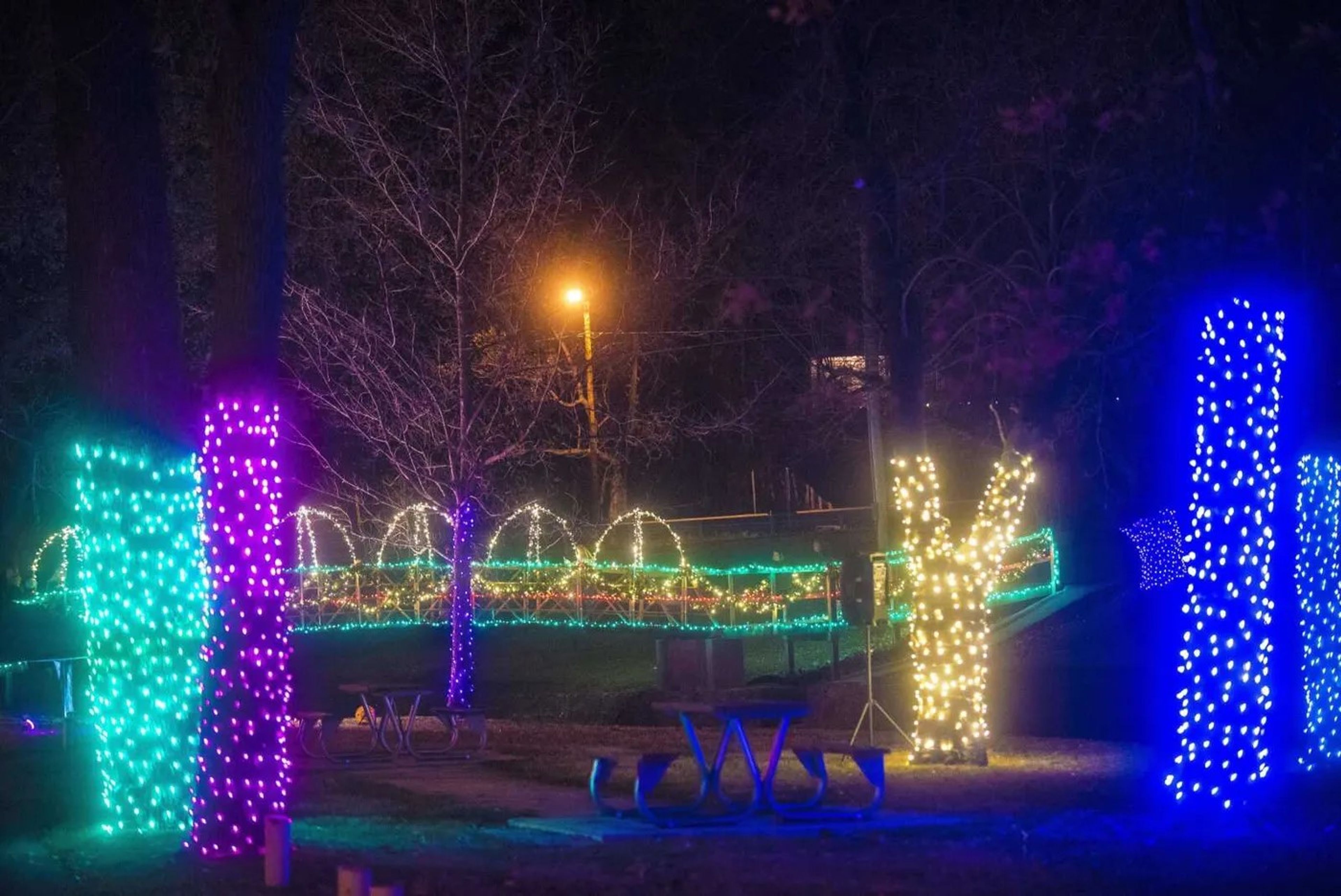 Lights fill the night during the 2017 Jackson Holiday Extravaganza at Jackson City Park in Jackson.