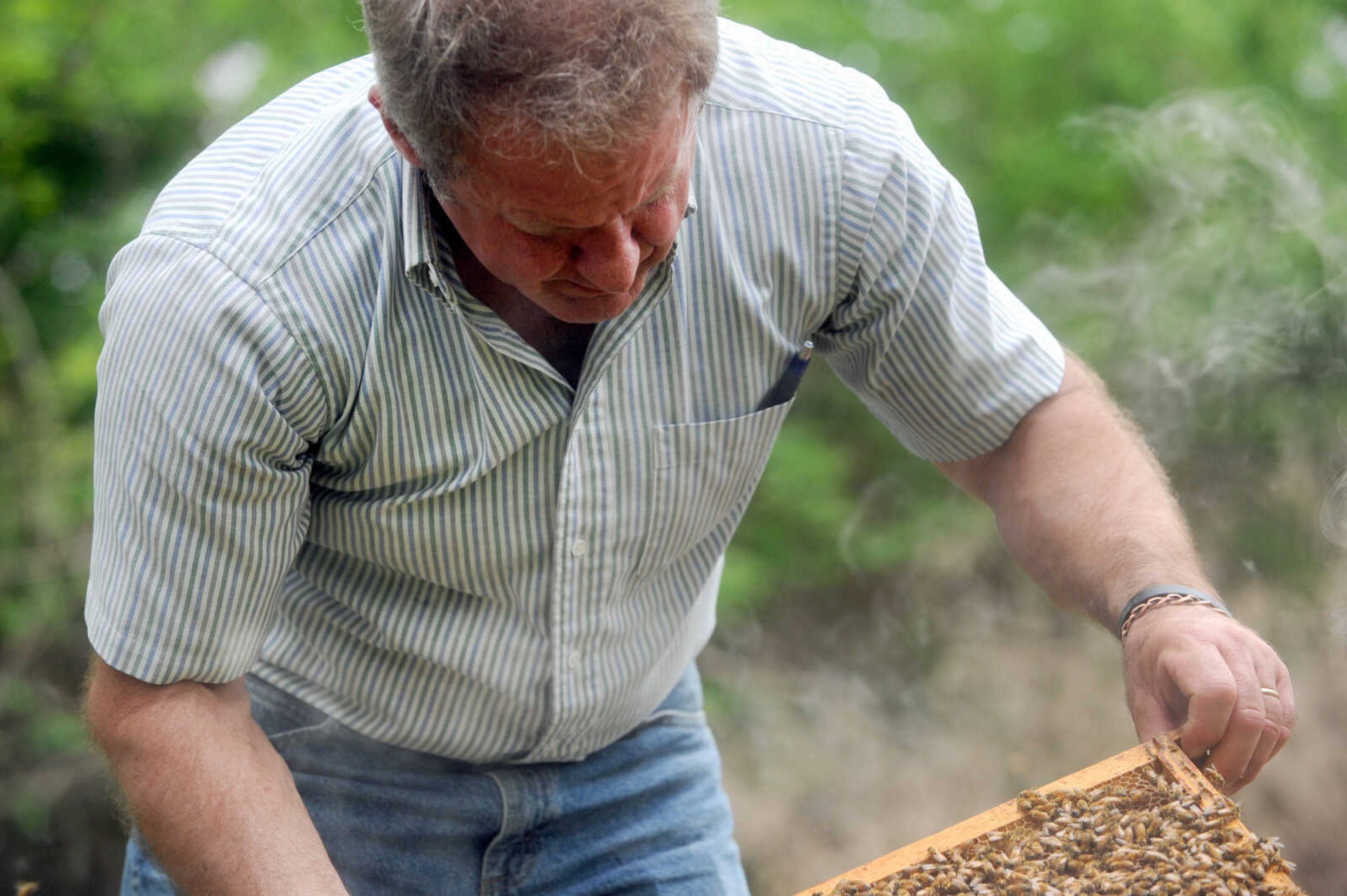 LAURA SIMON ~ lsimon@semissourian.com

Grant Gilliard checks on his beehives in Cape Girardeau County.