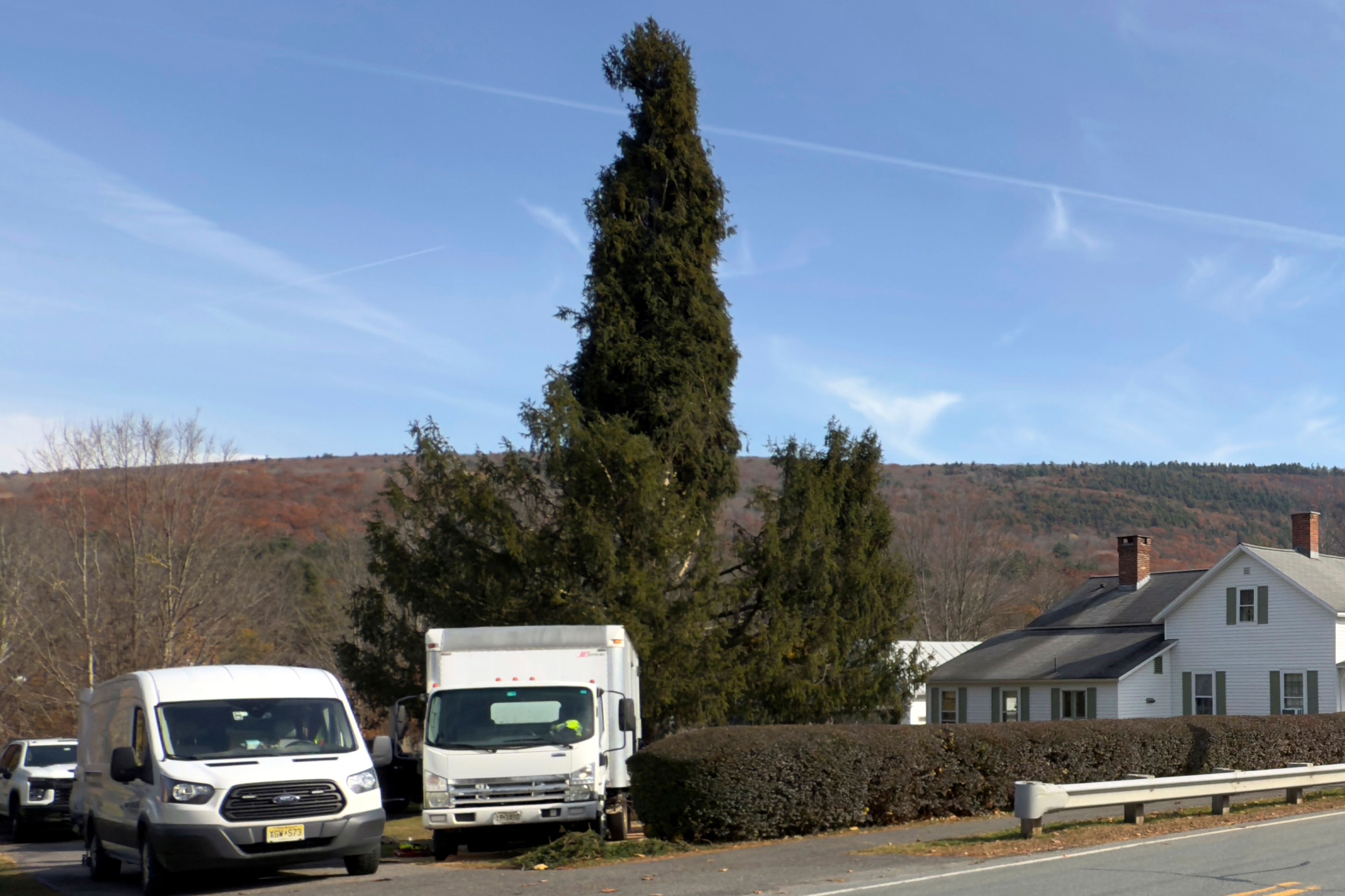 A Norway spruce, this year’s Rockefeller Center Christmas tree, is prepared for harvest, Wednesday, Oct. 30, 2024, in West Stockbridge, Mass. (AP Photo/Rodrique Ngowi)