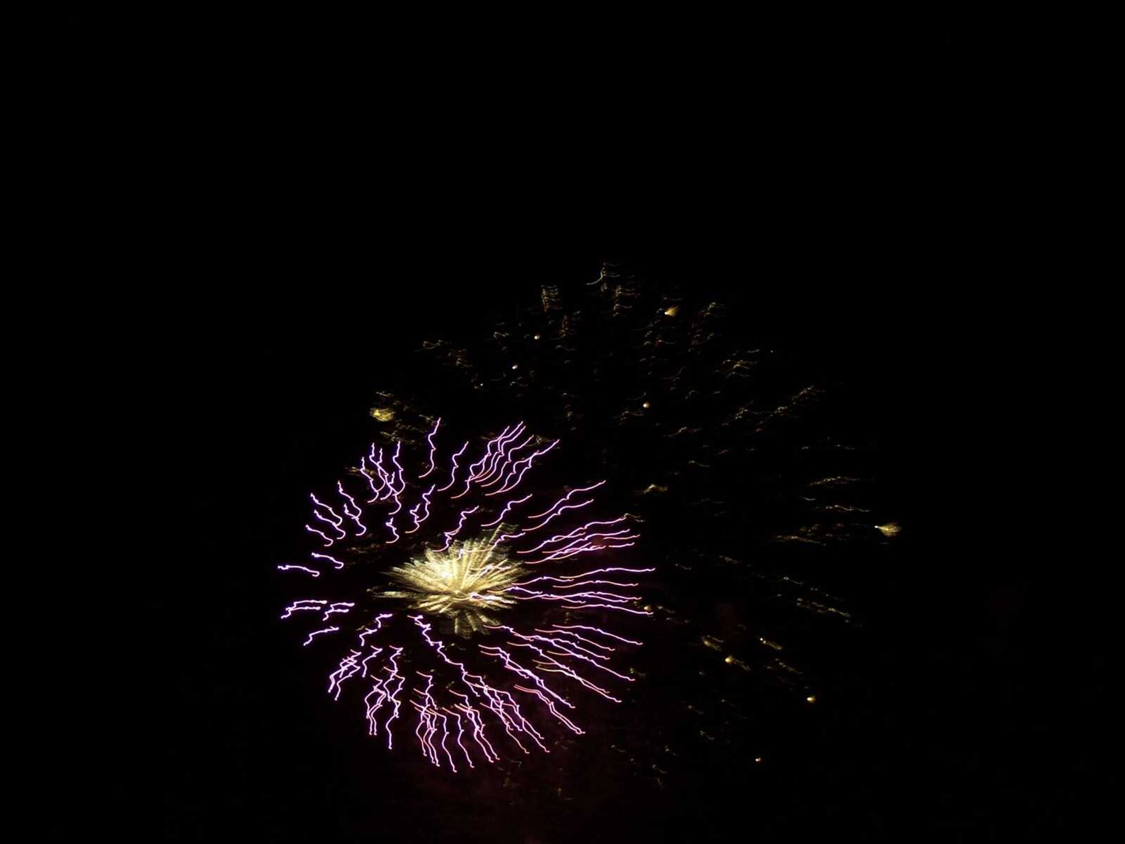 Fireworks at Jackson City Park.