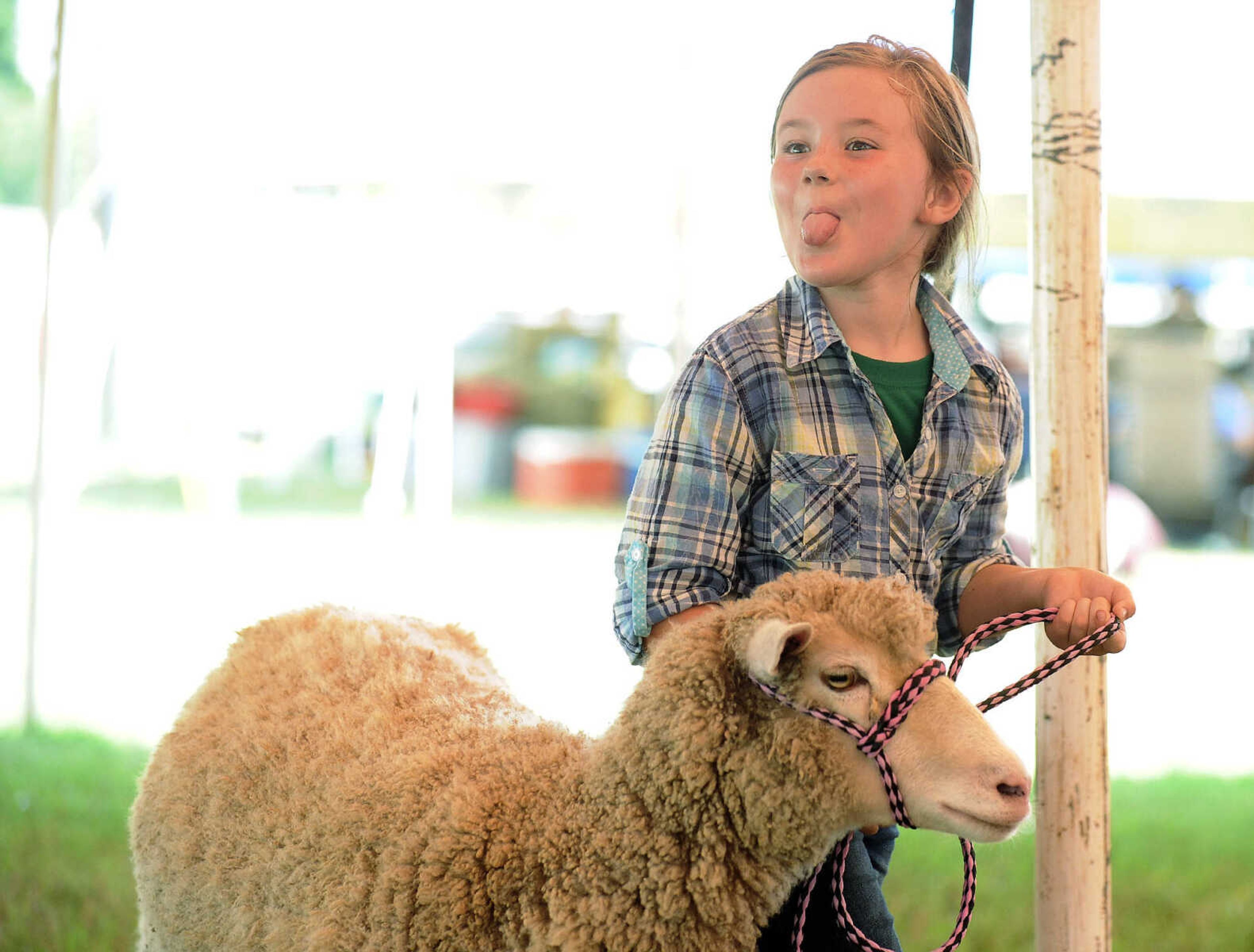 LAURA SIMON ~ lsimon@semissourian.com

The SEMO District Fair continues on Wednesday, Sept. 14, 2016, at Arena Park in Cape Girardeau.