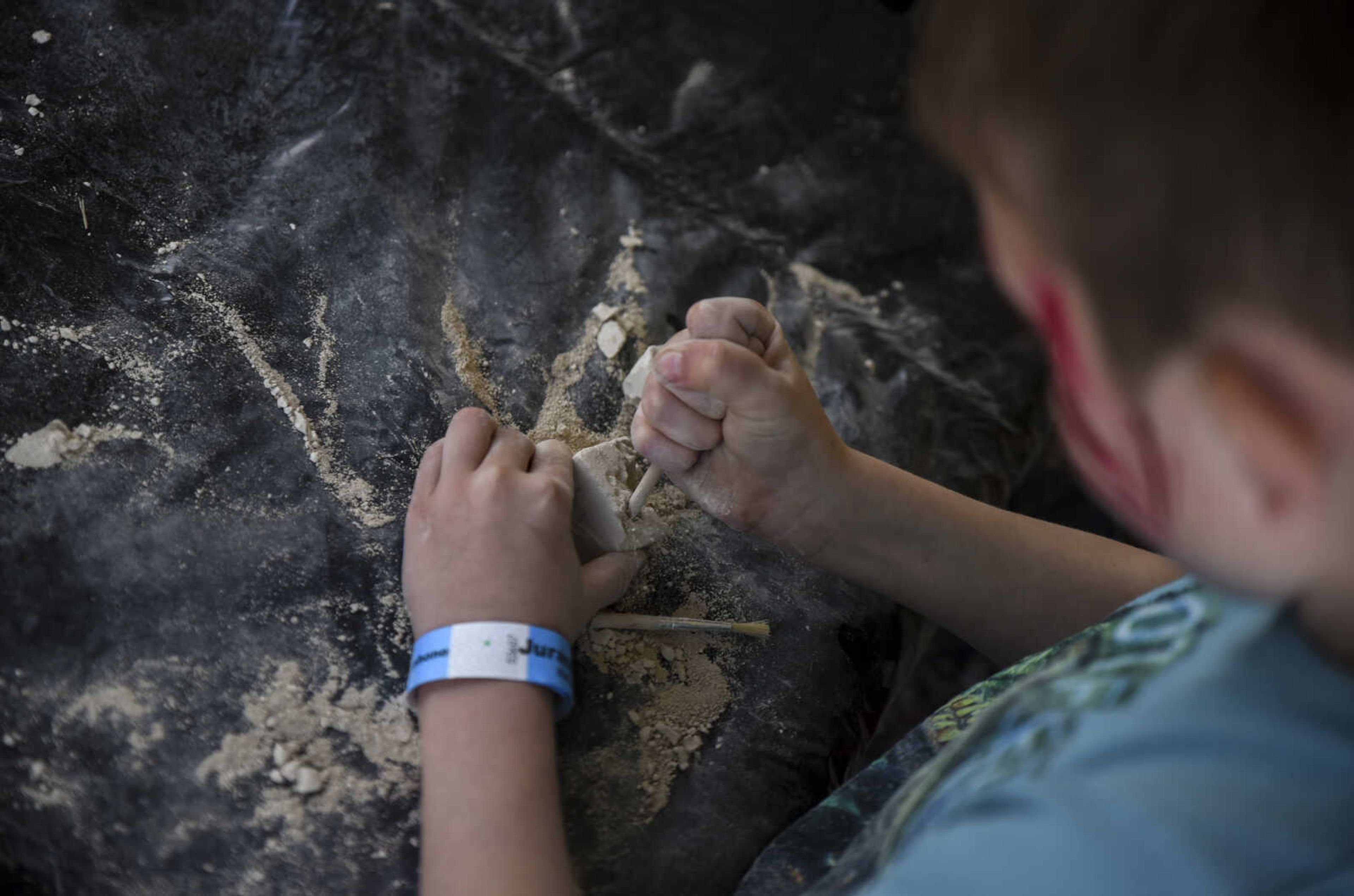 Sawyer Ebers, 6, participates in the fossil excavation at Jurassic Quest Friday, April 27, 2018, at the Show Me Center in Cape Girardeau.