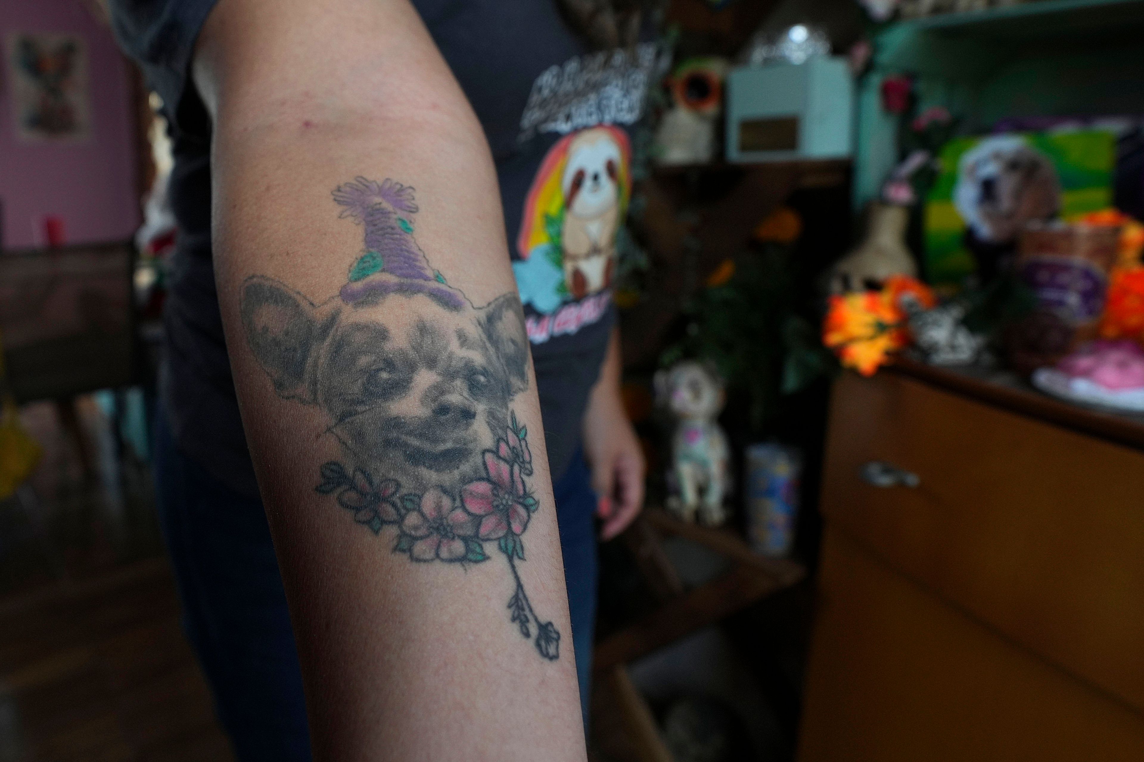 Meztli Lizaola shows off her memorial tattoo of Taco, her pet chihuahua dog that died two years ago, in Mexico City, Wednesday, Oct. 30, 2024. (AP Photo/Fernando Llano)