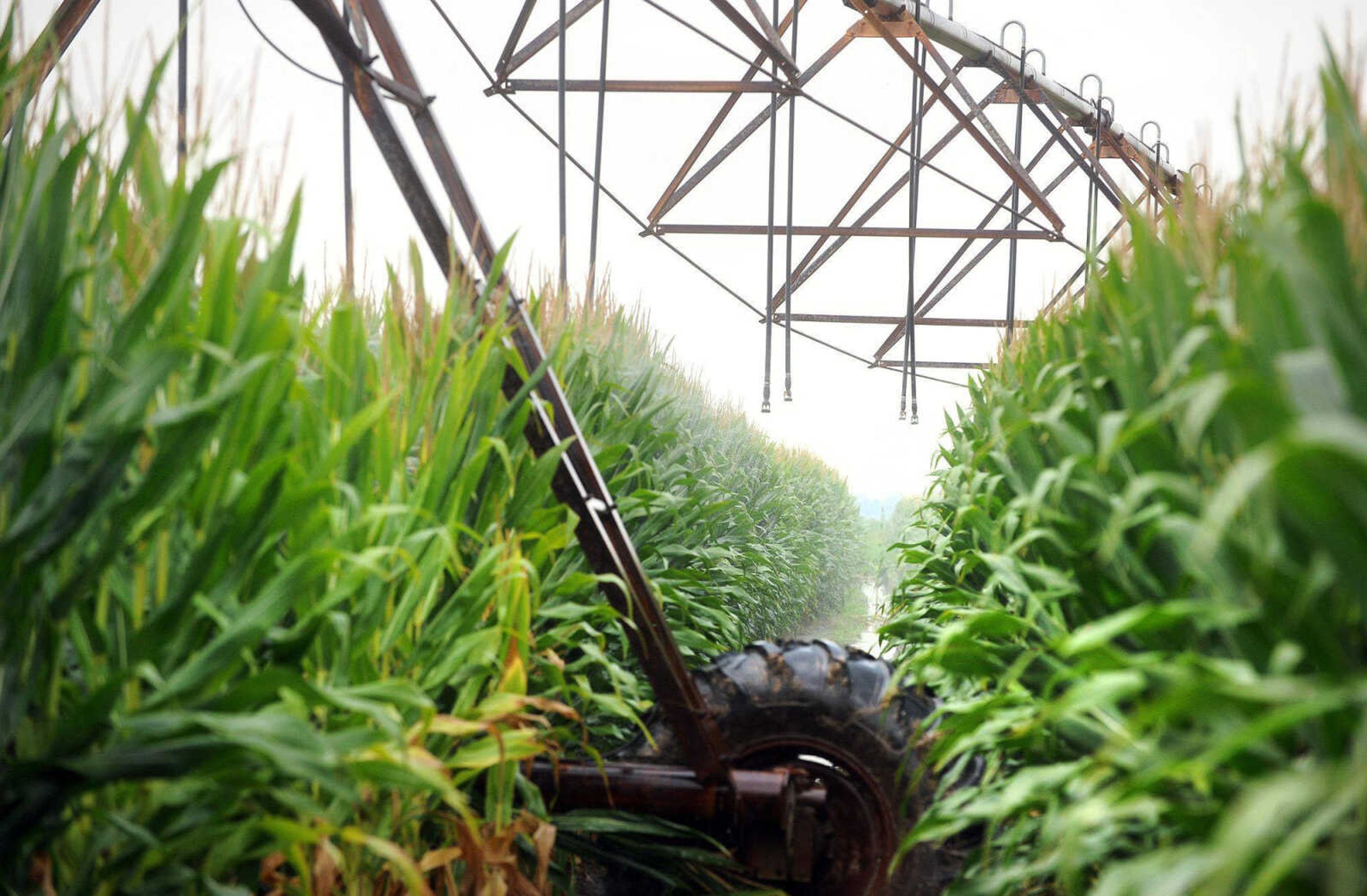 Farmland prices expected to cool off in 2014, 2015