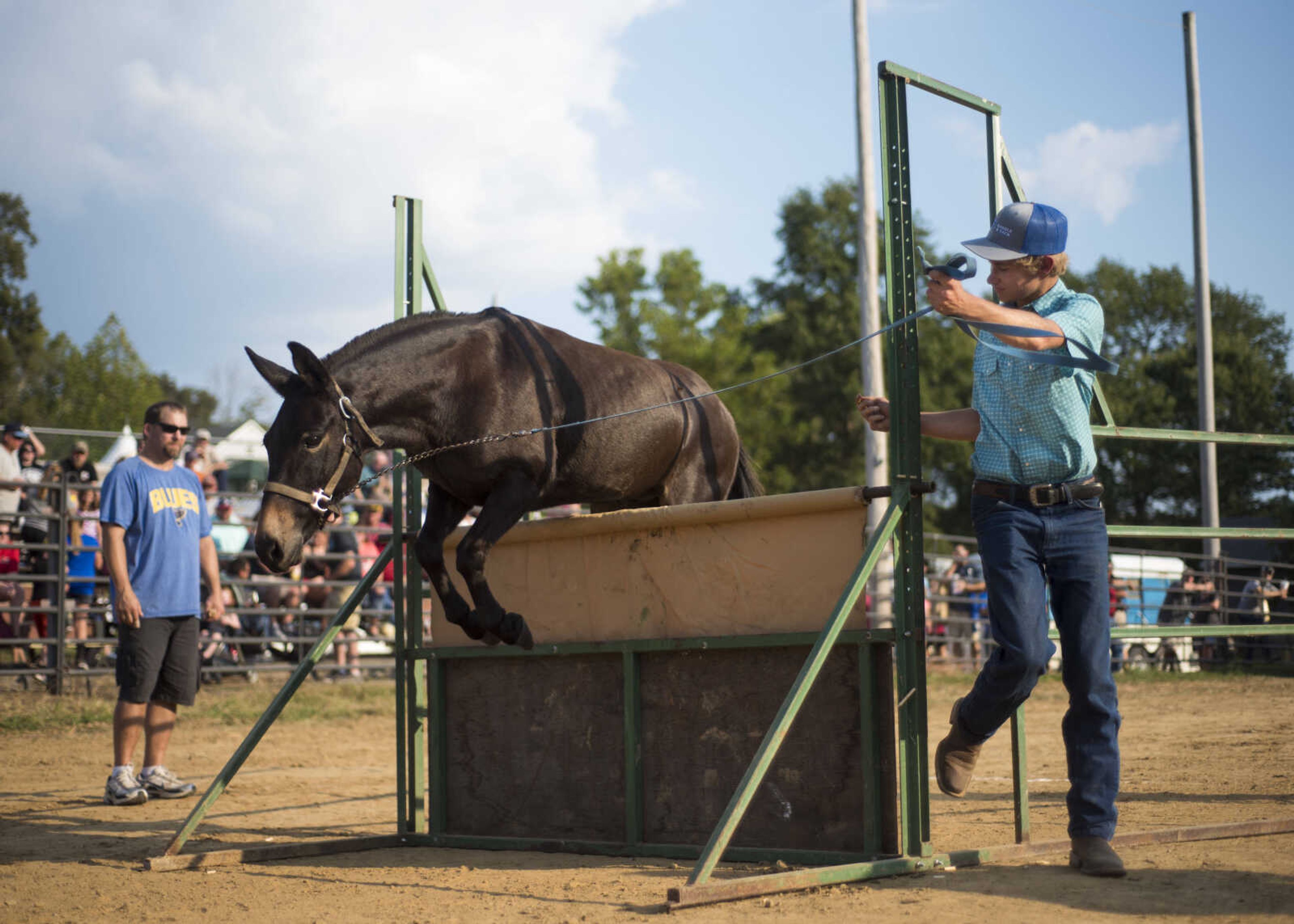 Dustin Aden of Pocahontas guides his mule, Slick, over the bar during the mule jumping competition Sept. 23, 2017 at the East Perry County Fair in Altenburg, Missouri.